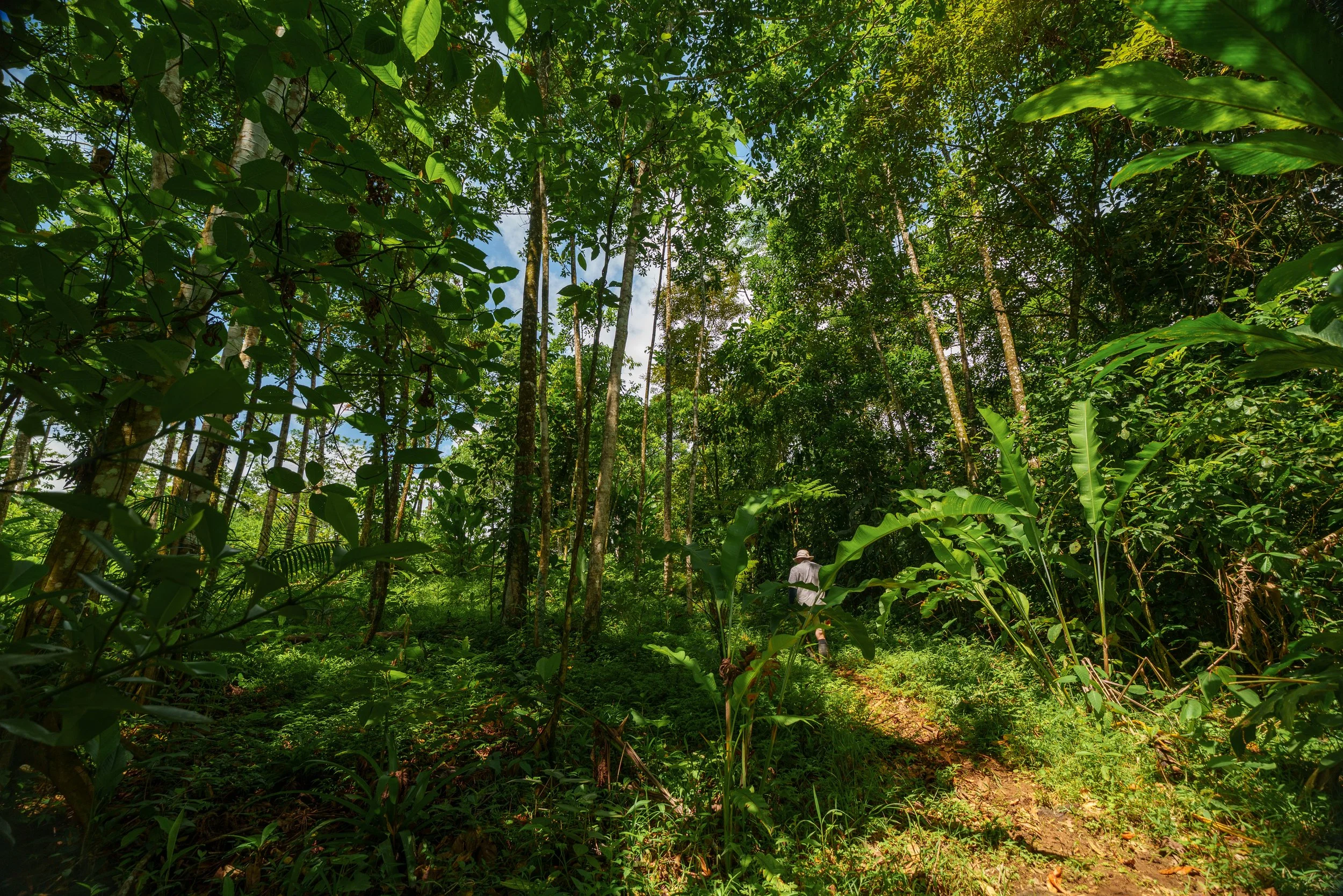 Bgarden-19.jpg