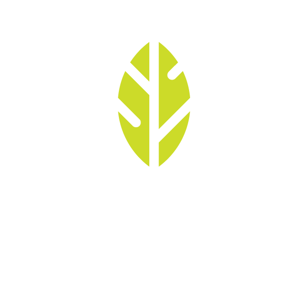 Outline of two hands holding a green leaf.