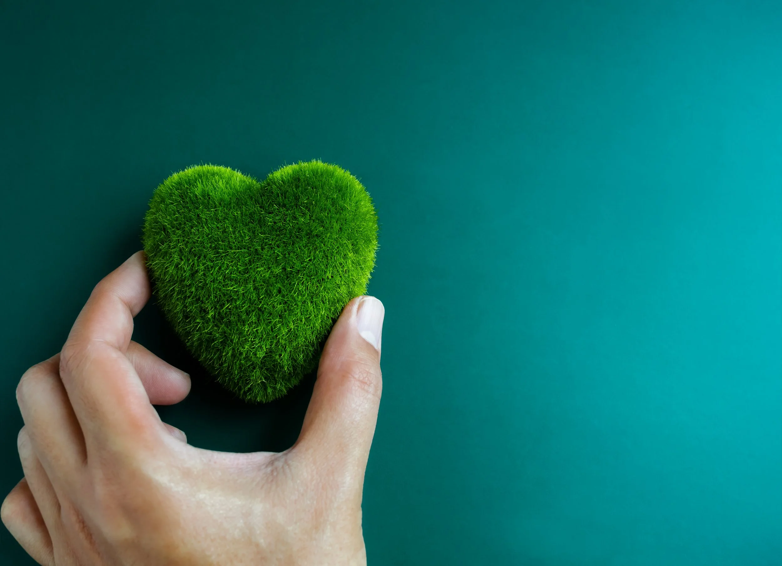 Hand holding a green, heart-shaped moss plant.