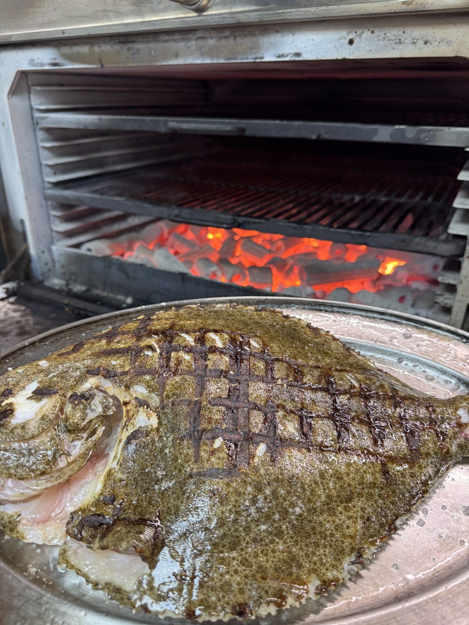 Grilled Turbot