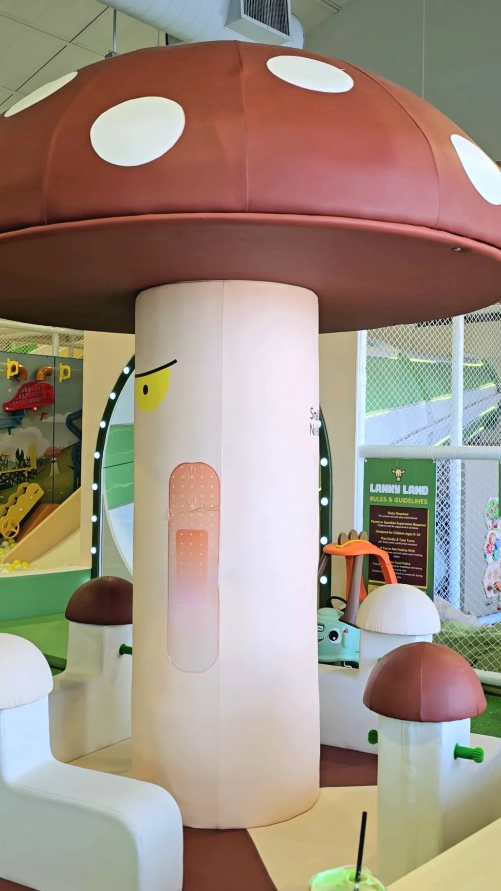 Houston’s Newest Indoor Playground: Lankyland