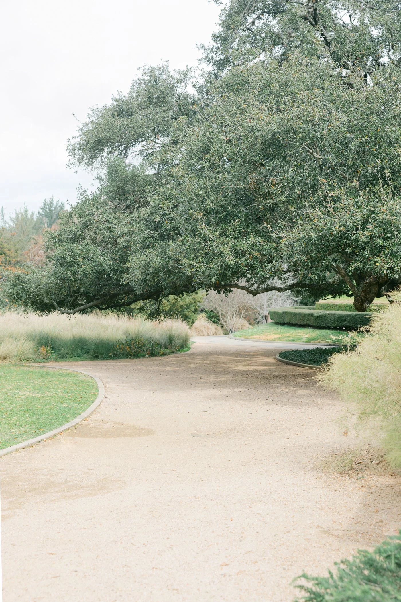 Pathway at McGovern Centennial Garden