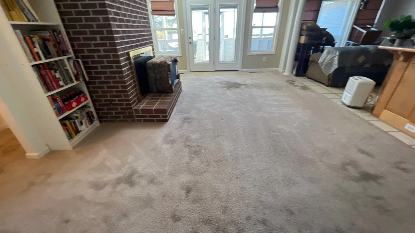 6 Carpet Stains That Make Homeowners Panic (and How to Fix Them)
