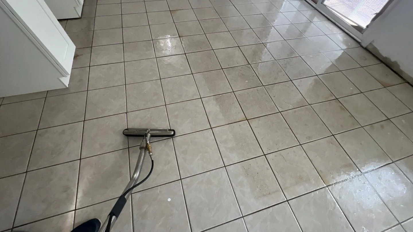 Looks Clean Isn’t Always Clean: What’s Really Hiding in Your Floors &amp; Furniture