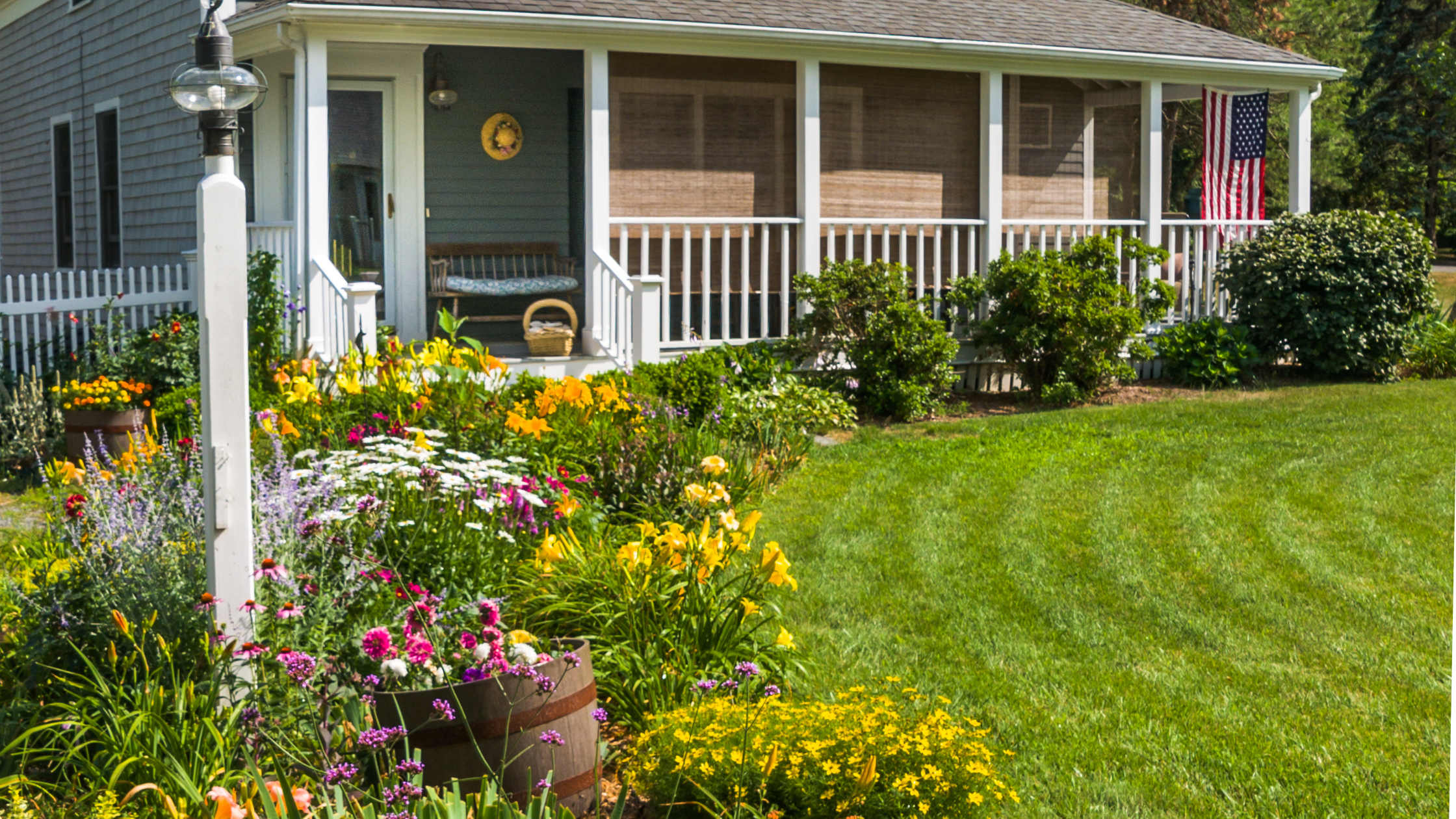 Cultivating Clarity: Lessons in Tech Strategy from the Backyard