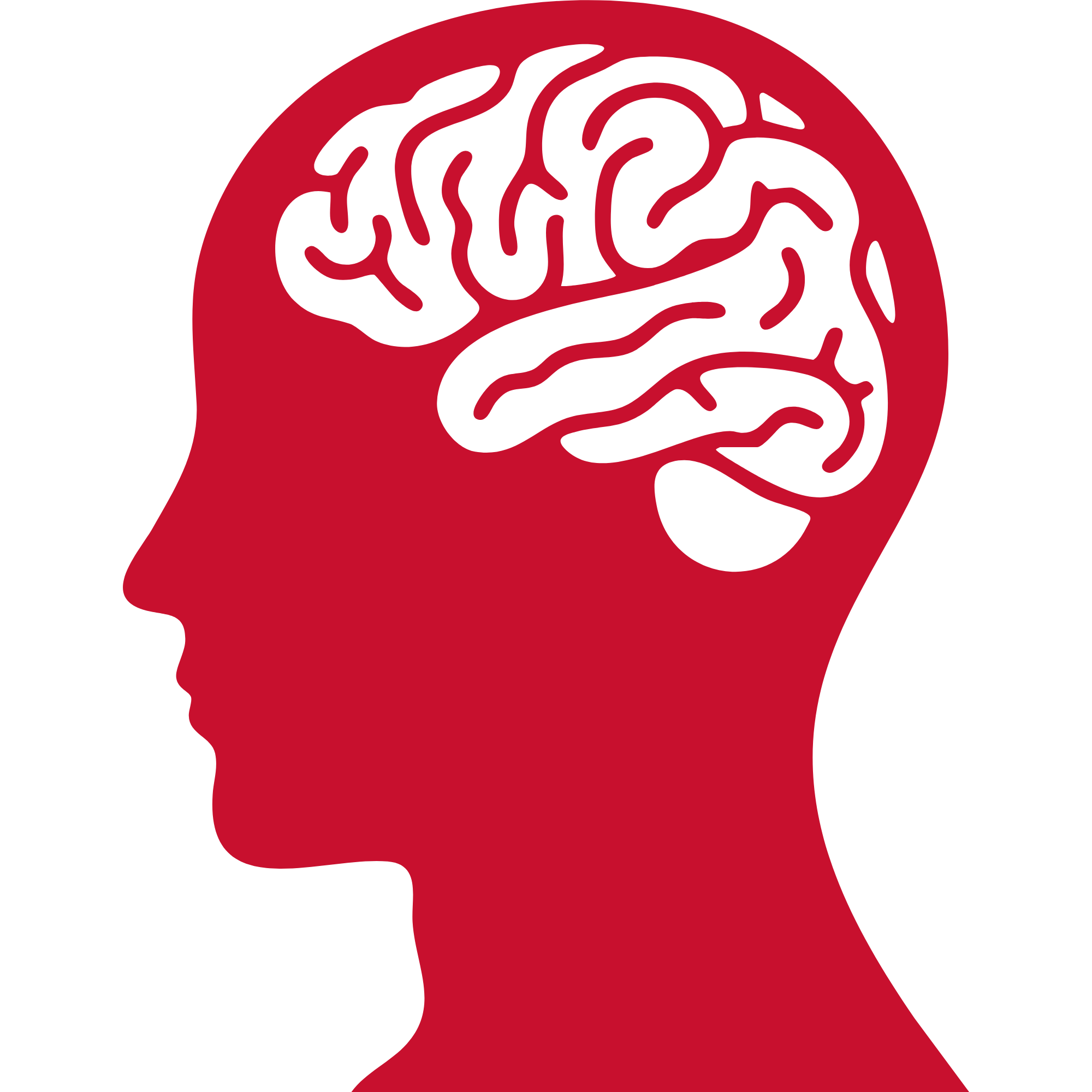 Outline of a human head with a brain depicted inside, in red outline.