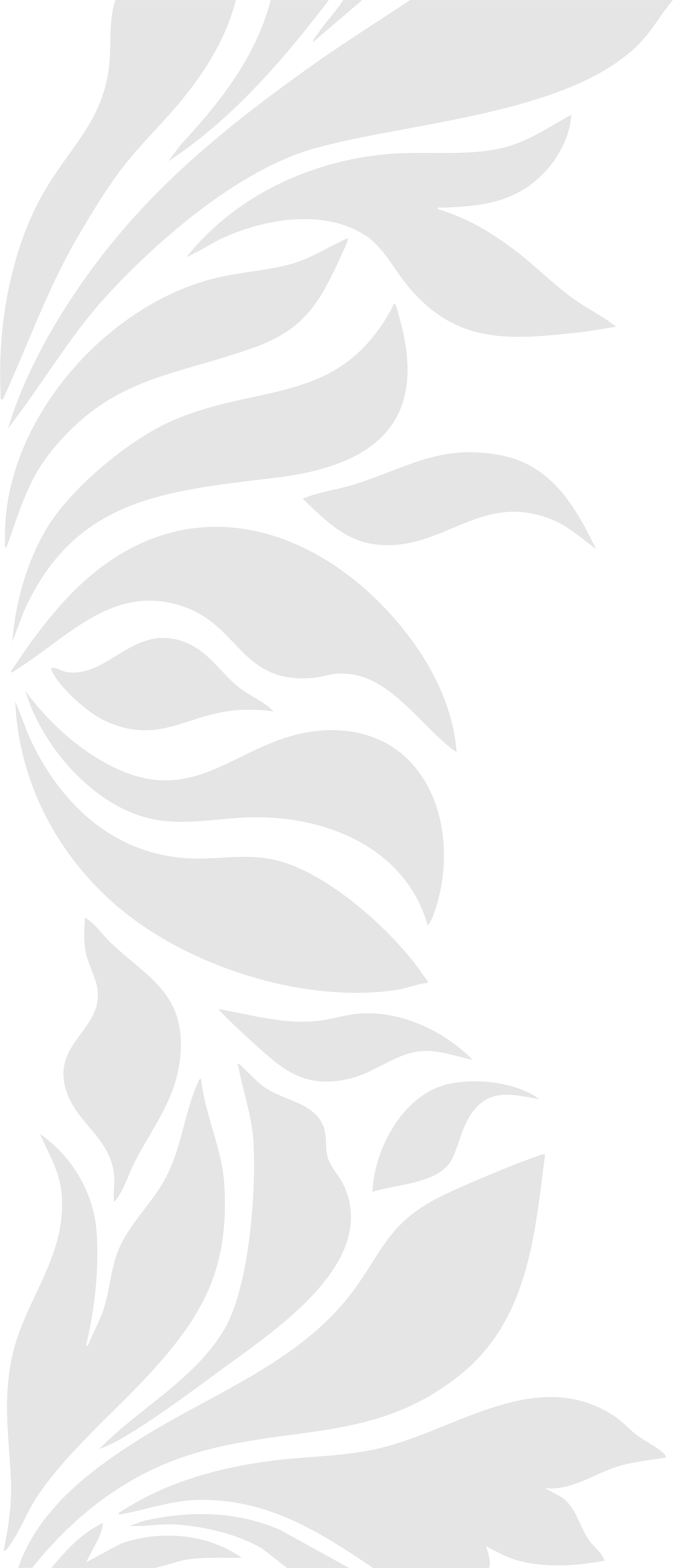 Line art illustration of a stylized plant with elongated leaves and flowing lines on a black background.