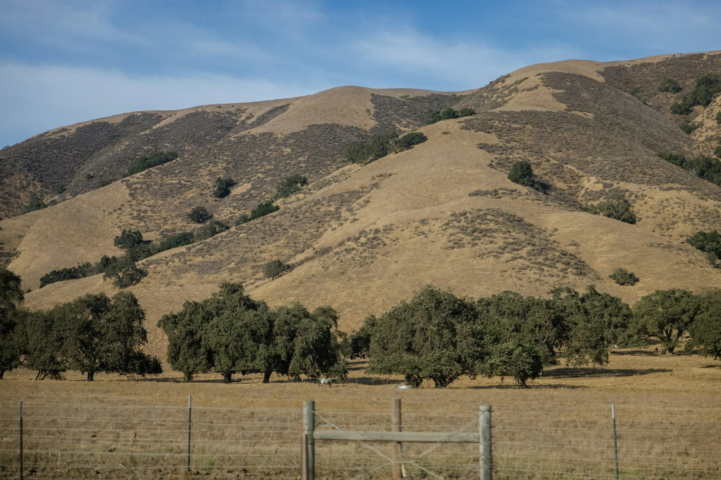 Rolling hills with patches of grass and scattered trees, a fence in the foreground, under a partly cloudy sky.