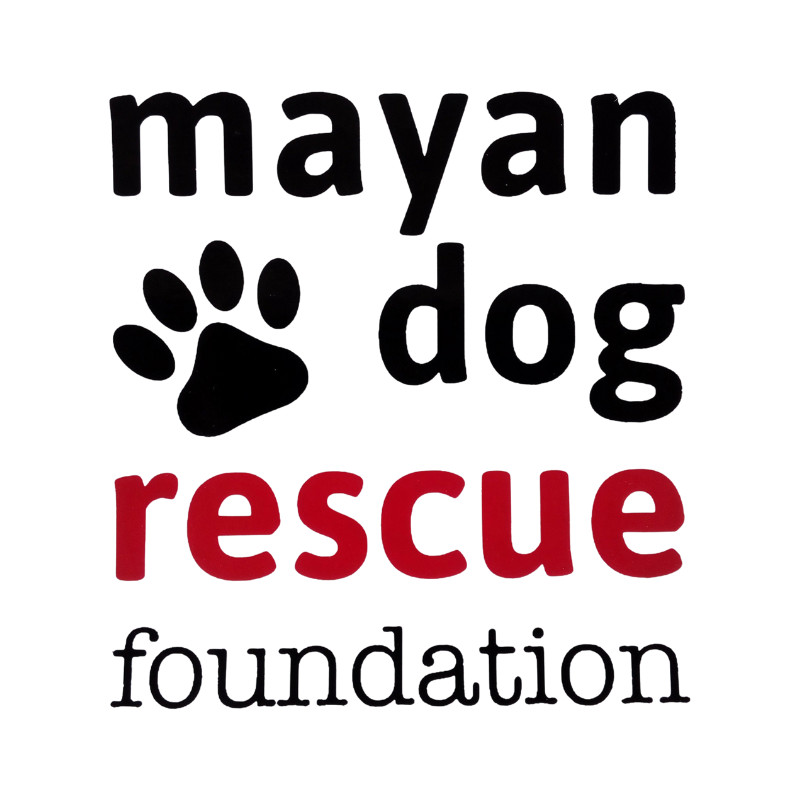 Mayan Dog Rescue Foundation