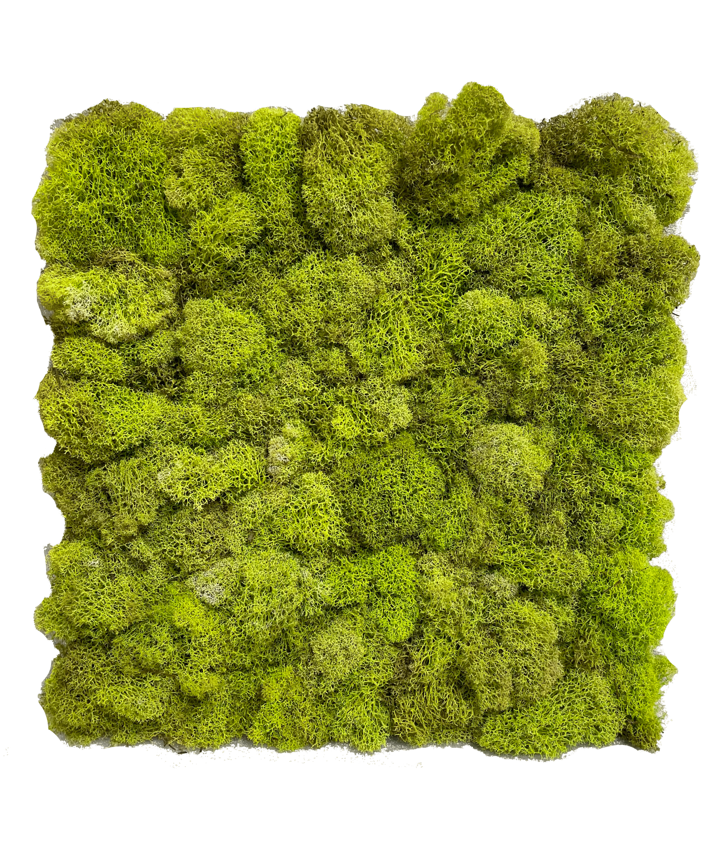 Chartreuse.png