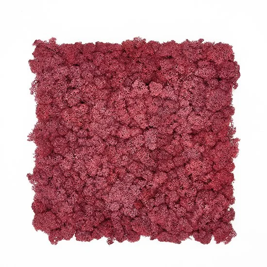 moss tile pink.jpg