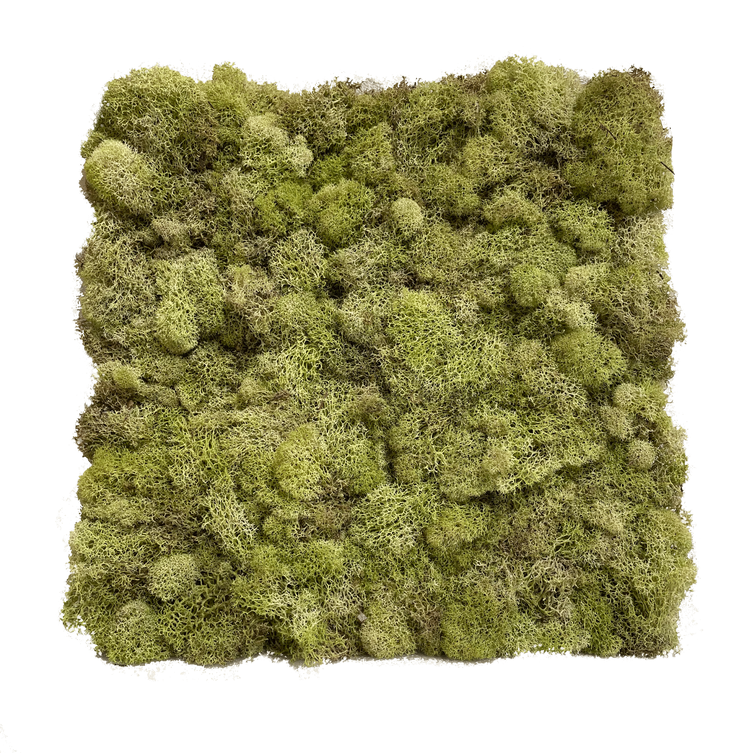 Natural.png