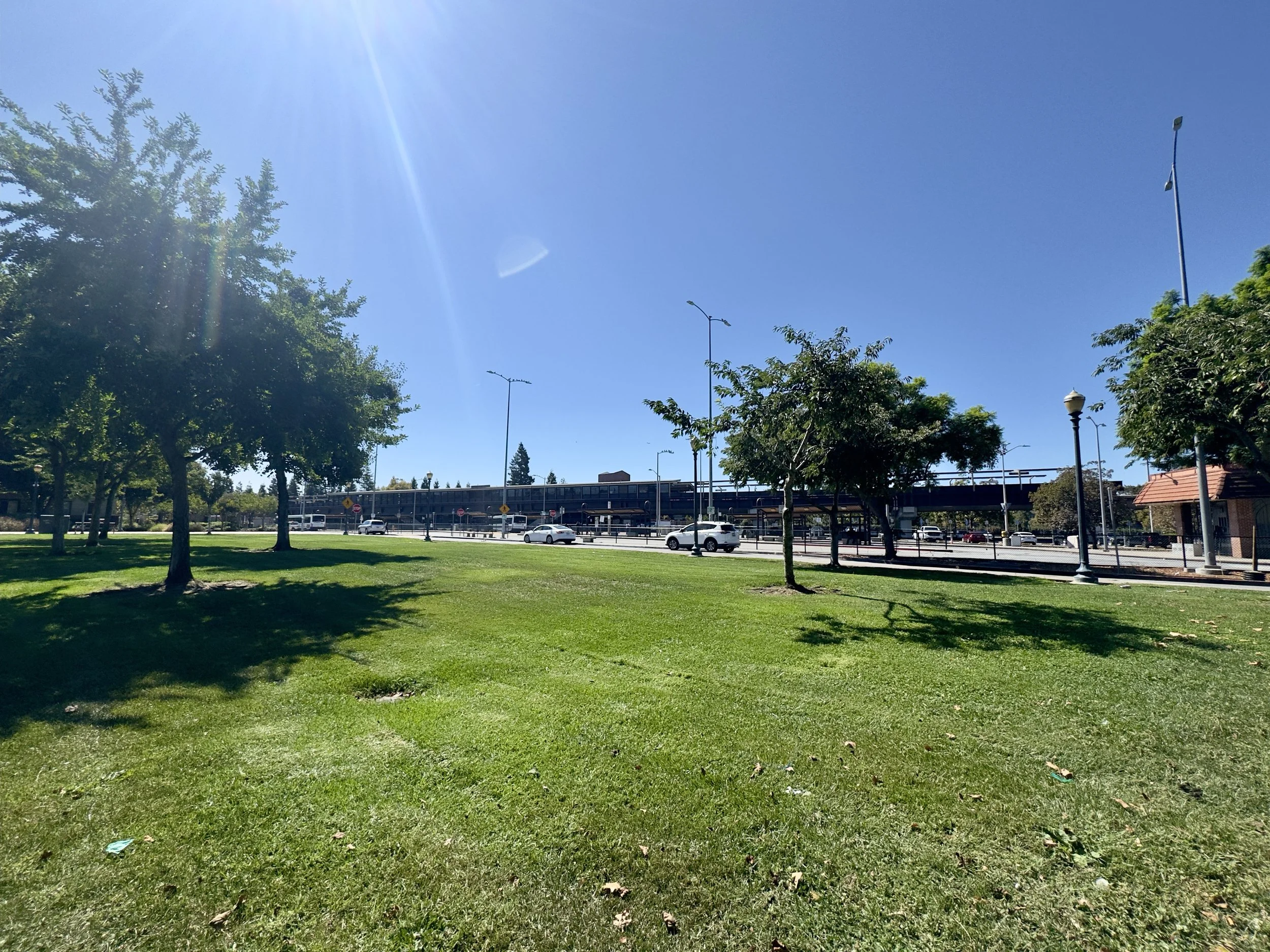 IMG_0513.jpeg