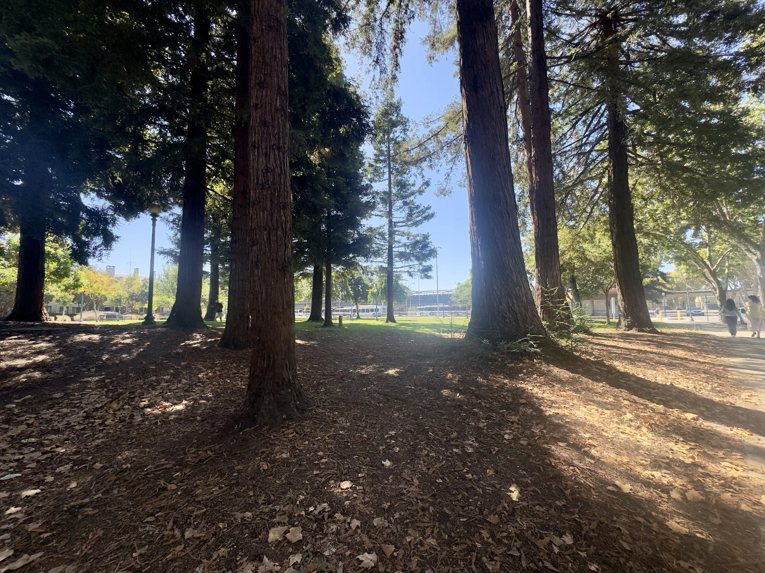 IMG_0535.jpeg