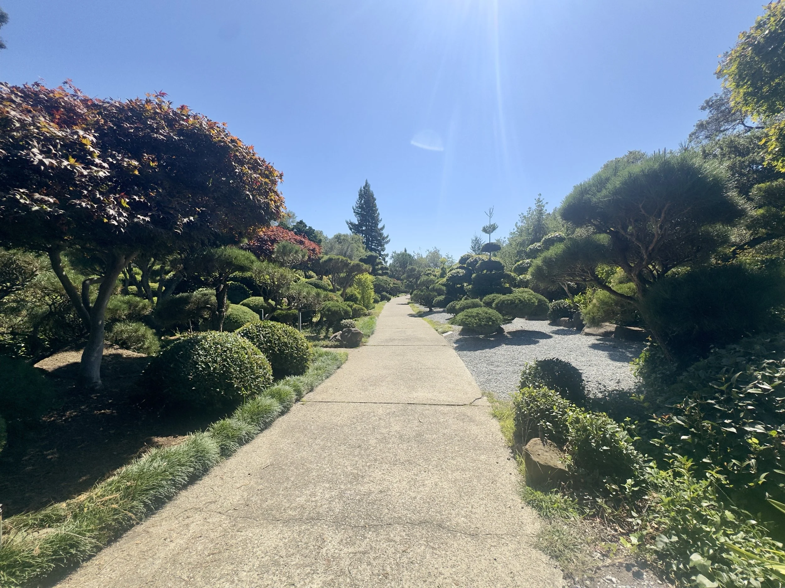 IMG_0546.jpeg