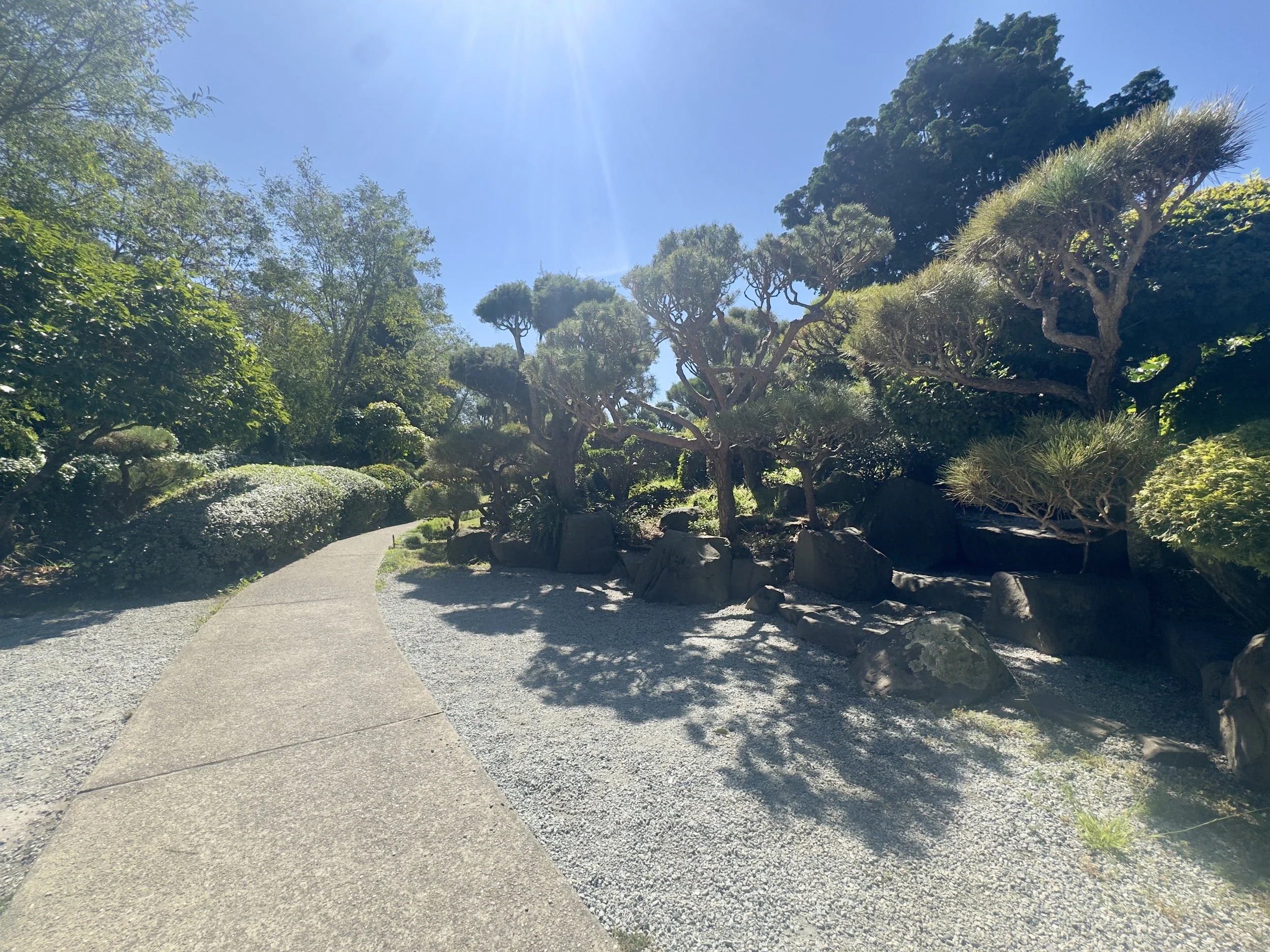 IMG_0547.jpeg