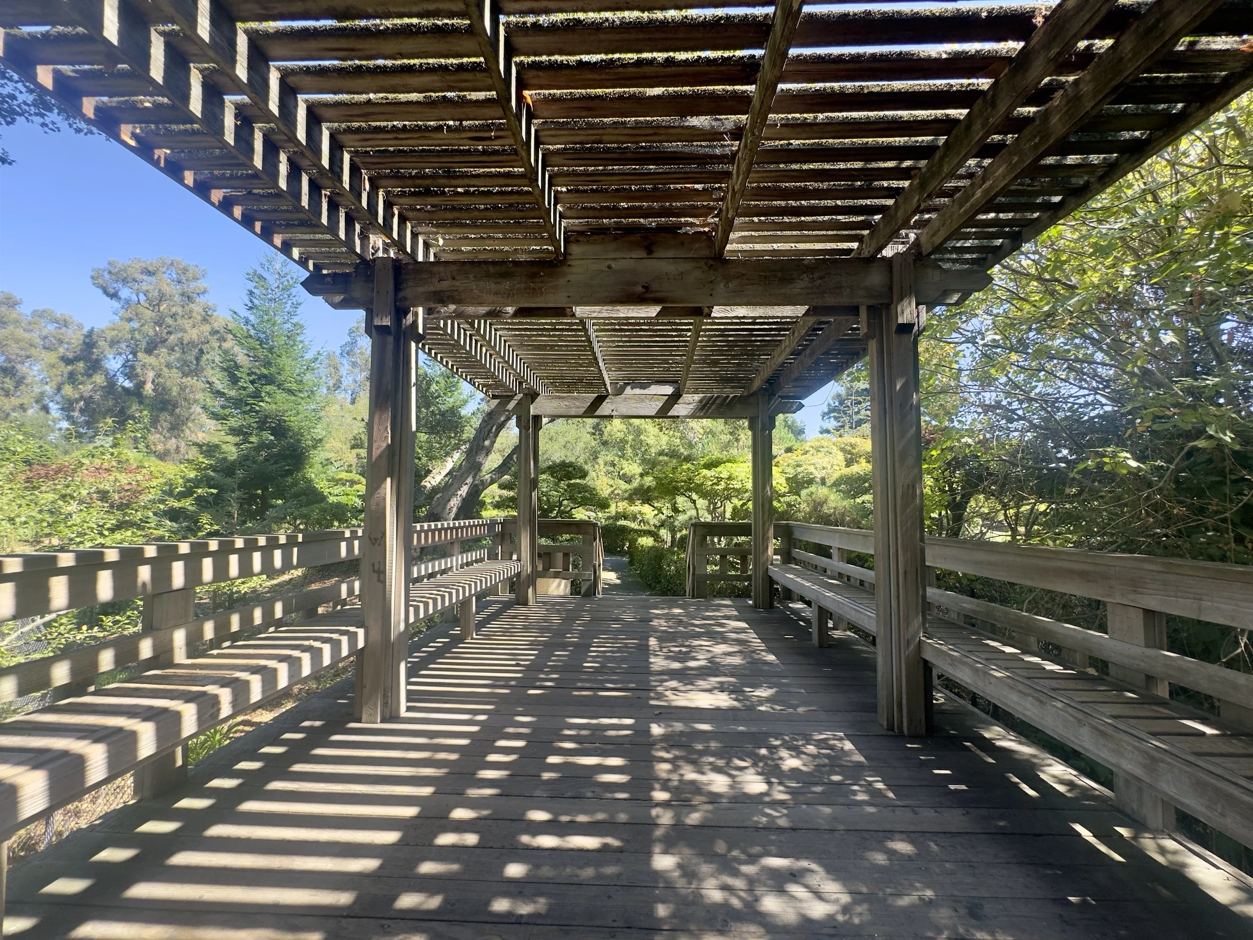 IMG_0551.jpeg