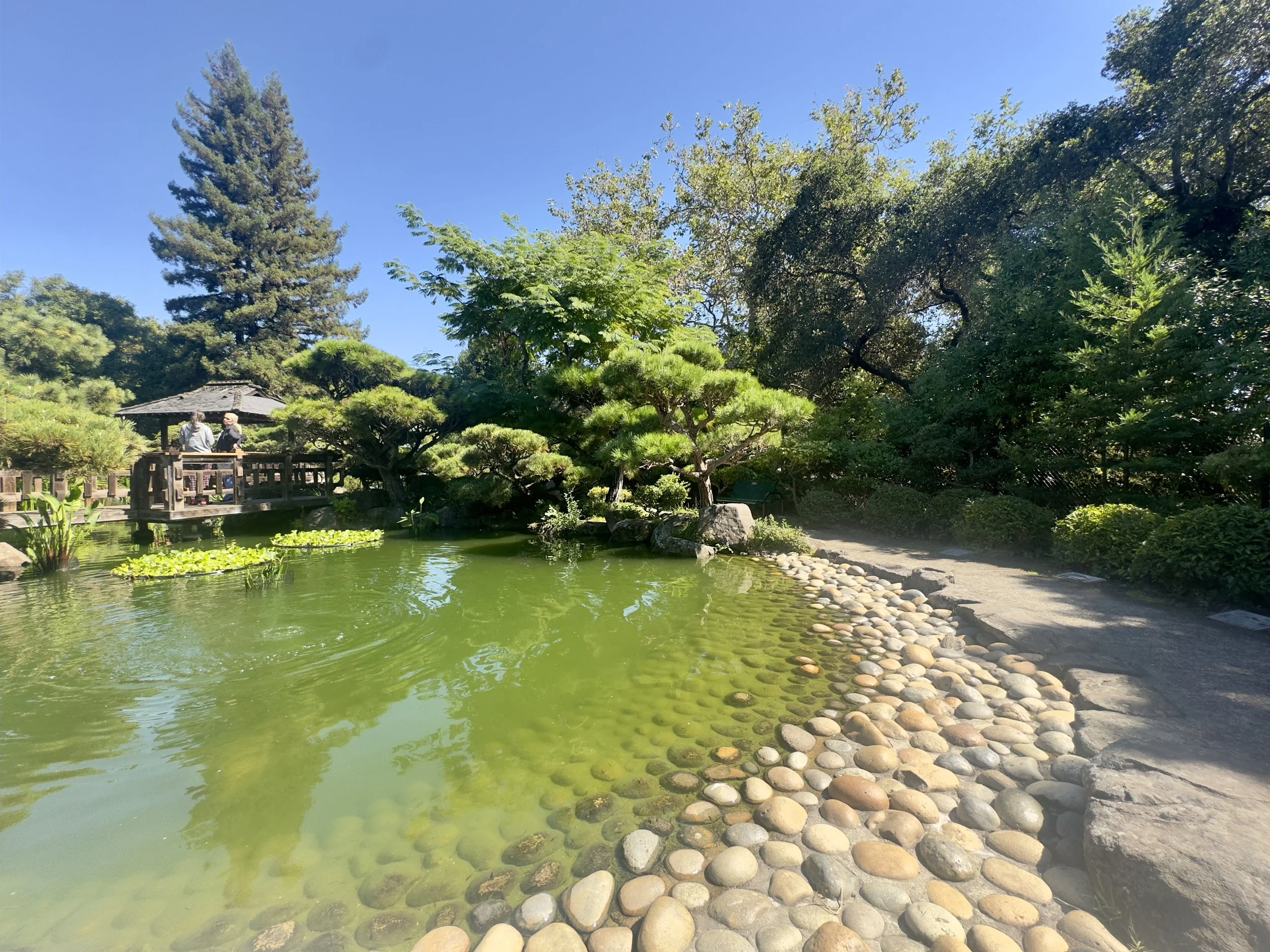 IMG_0553.jpeg