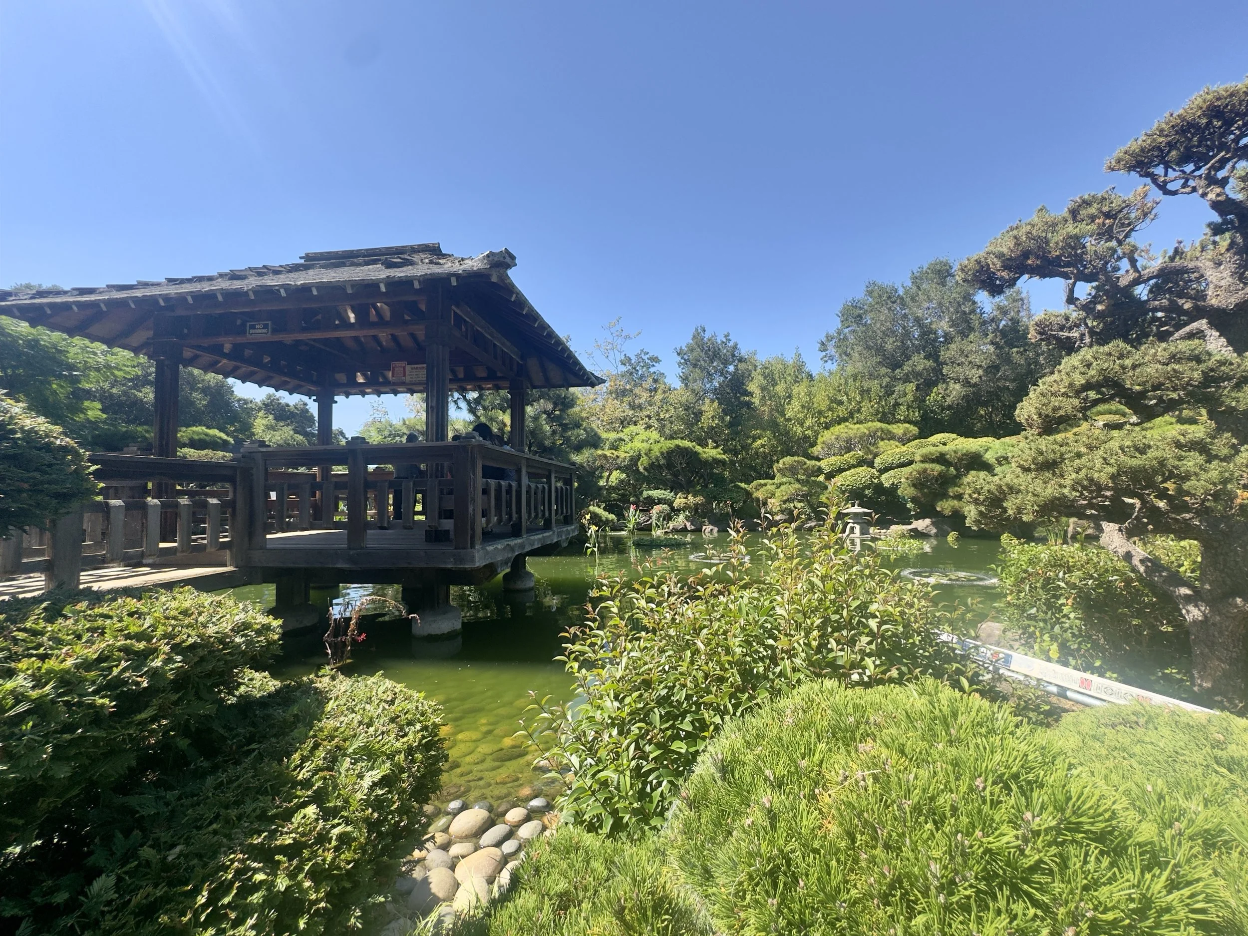 IMG_0555.jpeg