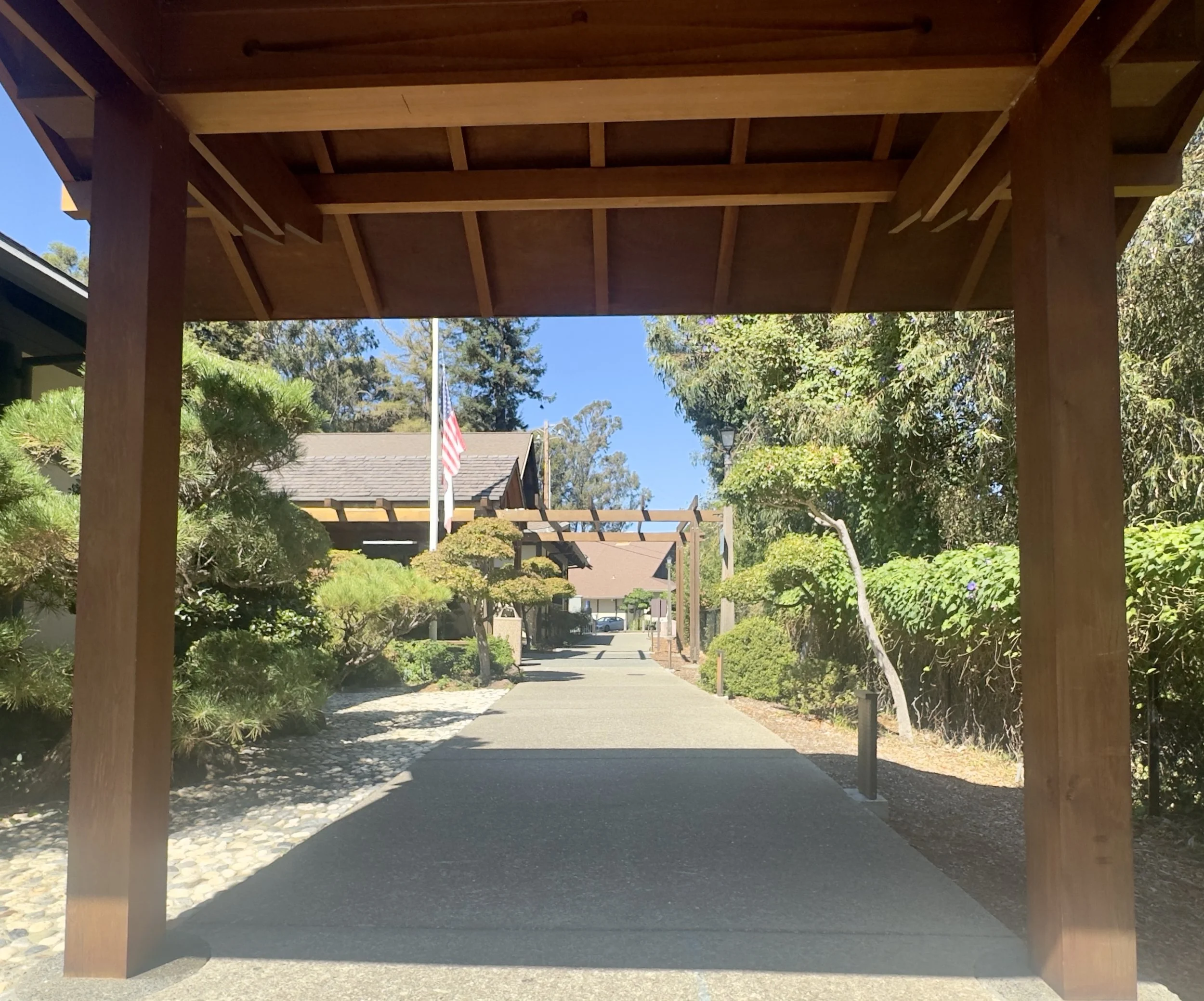 IMG_0559.jpeg
