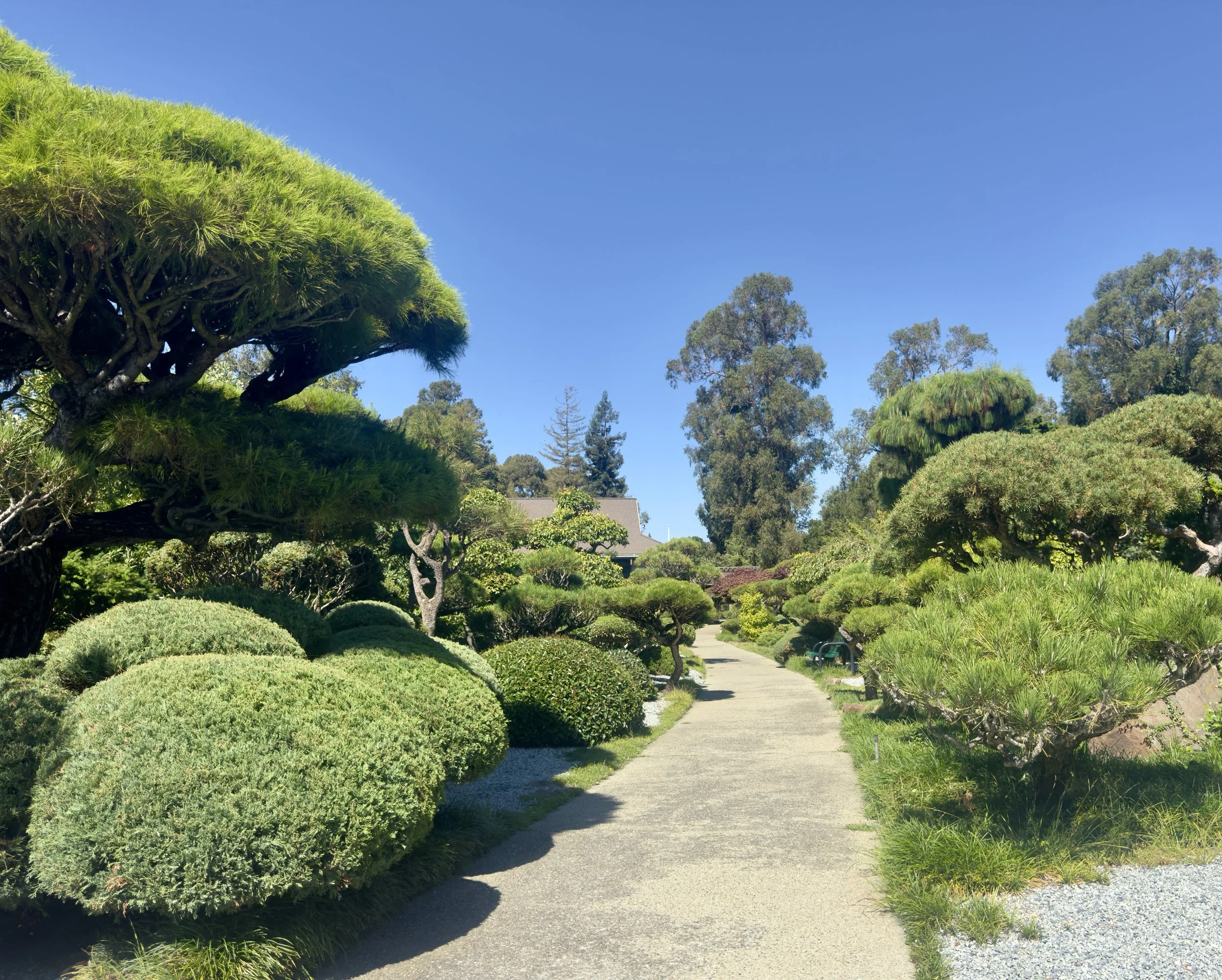 IMG_0557.jpeg