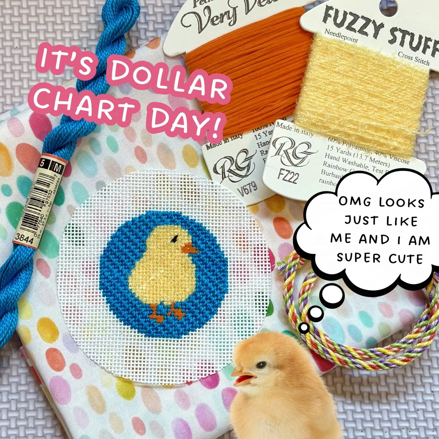 We got baby chicks. I made a chick chart. It&rsquo;s $1. But only for today. A perfect chance to try new fibers or stitches, imagine the fluff of turkey work on that little round baby! #needlepointchart #stitchonabudget #babychick #cheepcheep