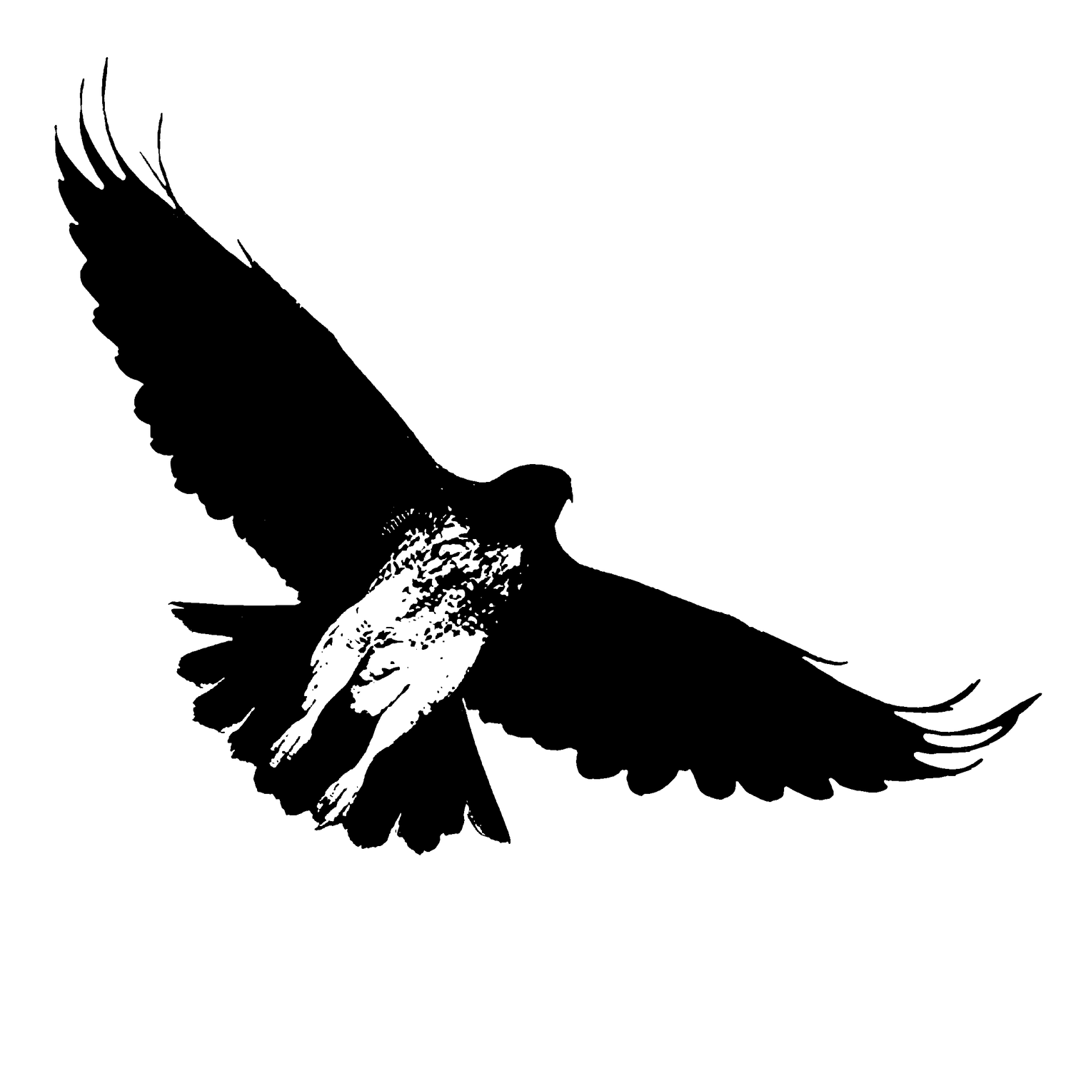 Hawk Diggity