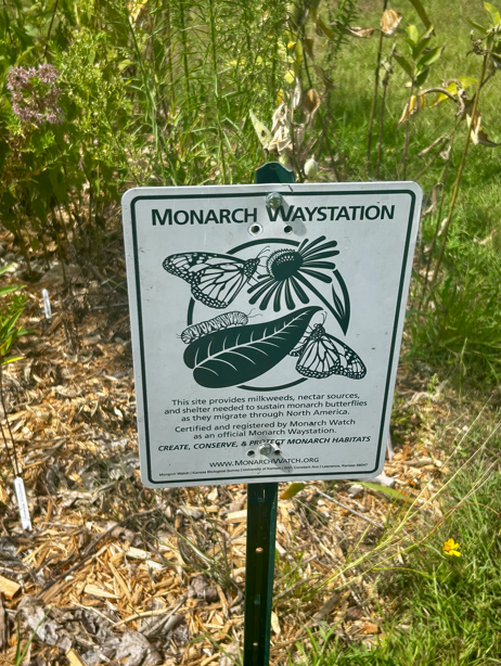 monarch.png