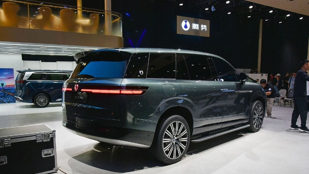 BYD Denza N9  (2).jpg