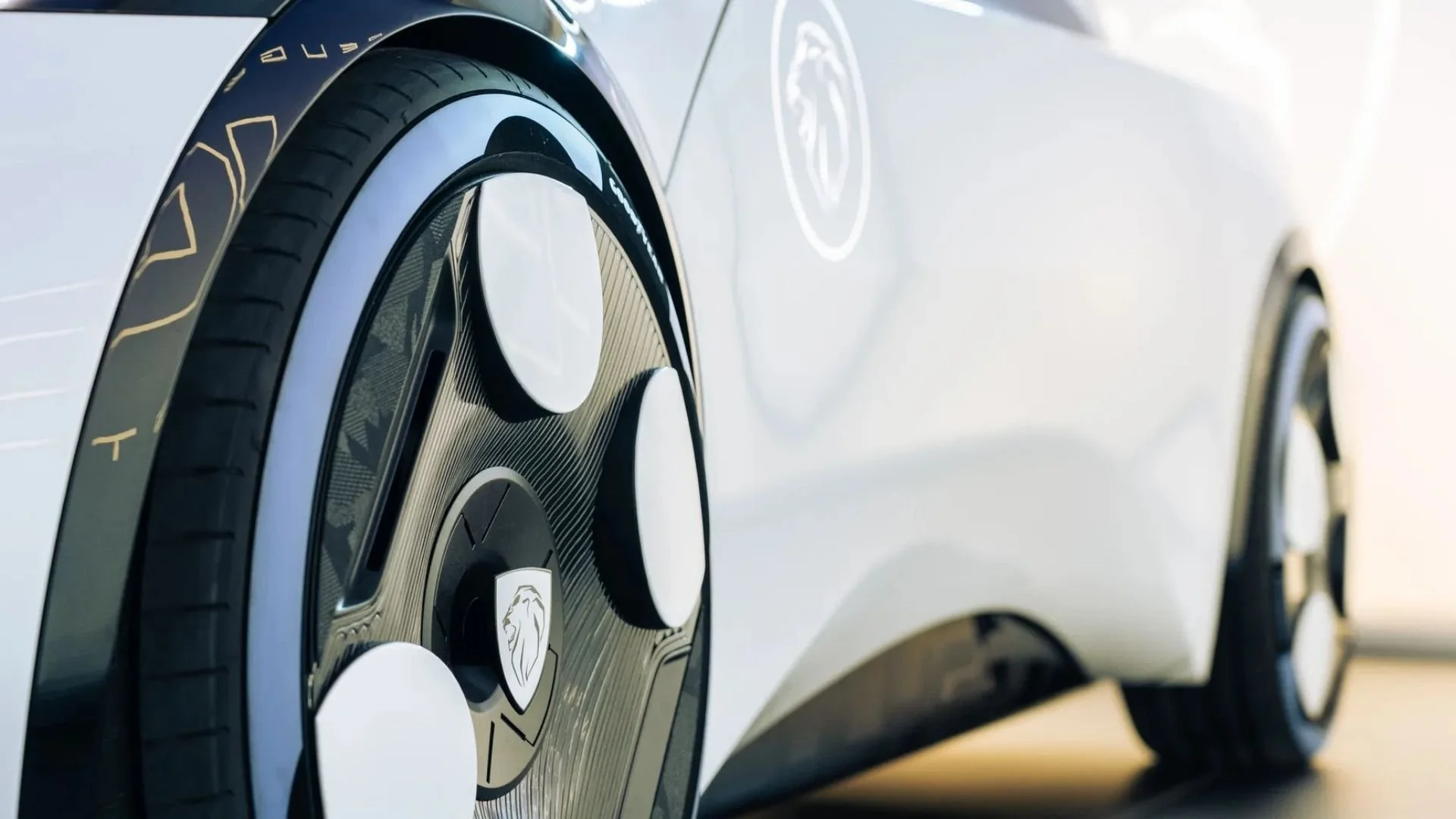 peugeot polygon (5).jpg