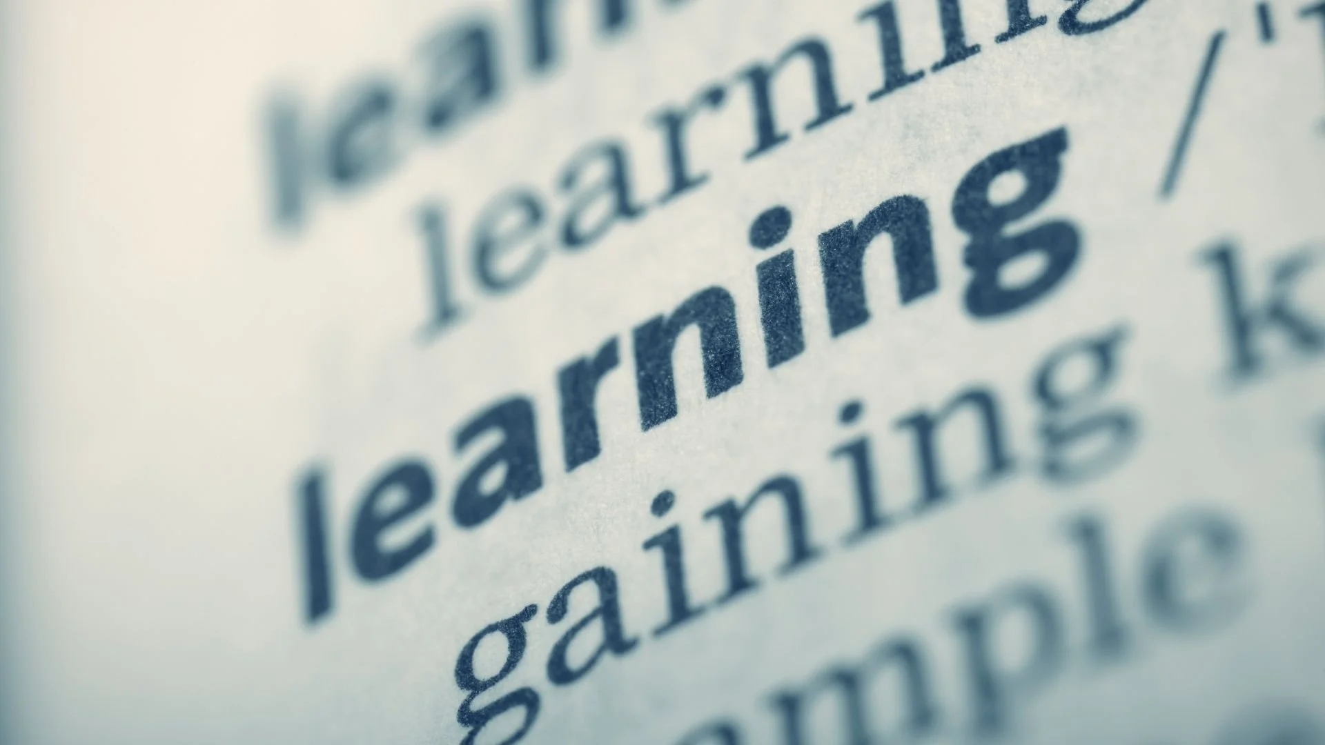 Fehlerkultur im Unternehmen: Warum sie nicht ausreicht