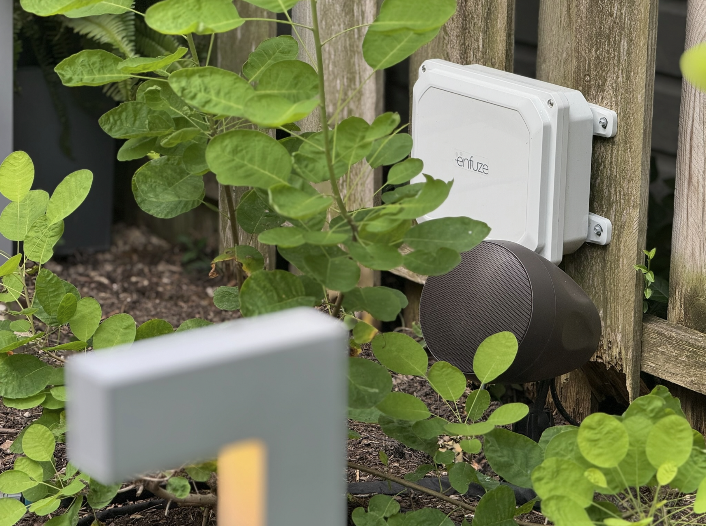 Enfuze Outdoor Wi-Fi