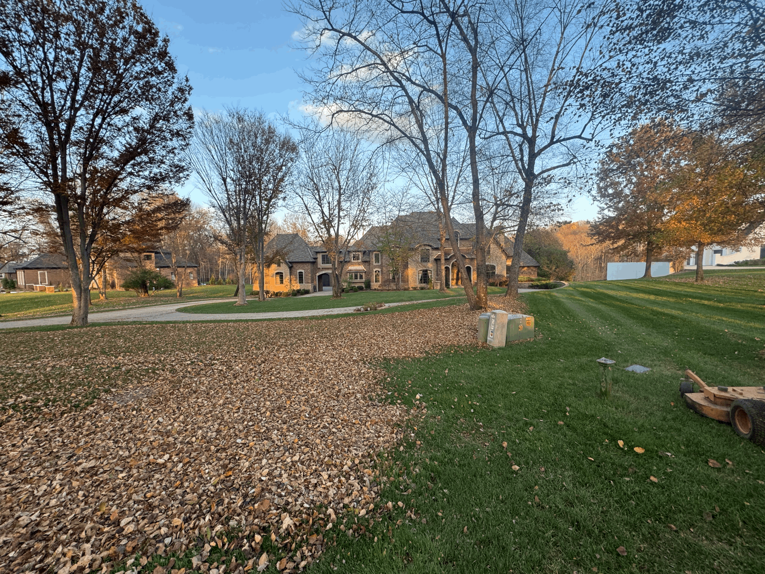 Lawn Care/Mowing and Maintenance