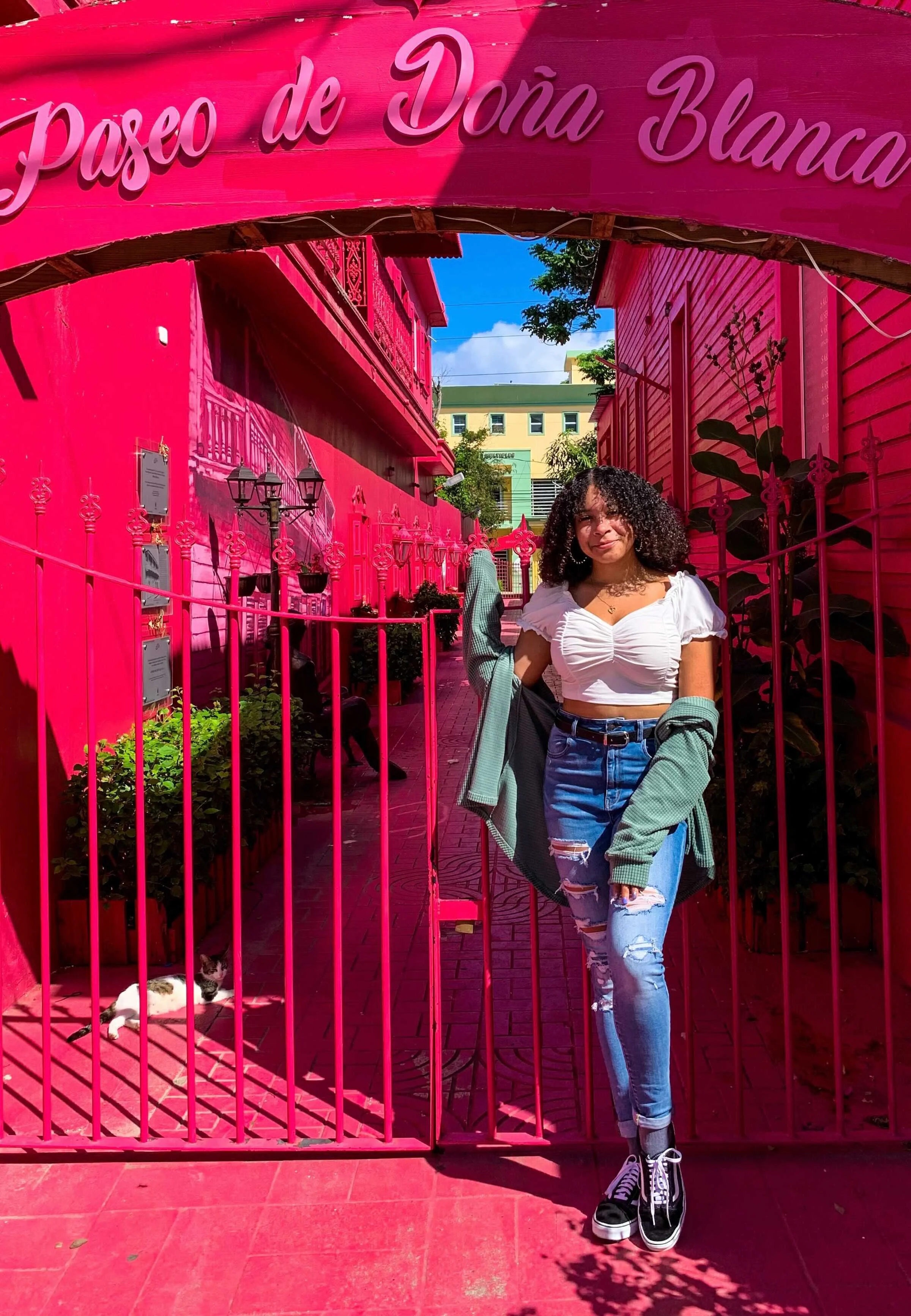 Angisnel Lara-Valdez