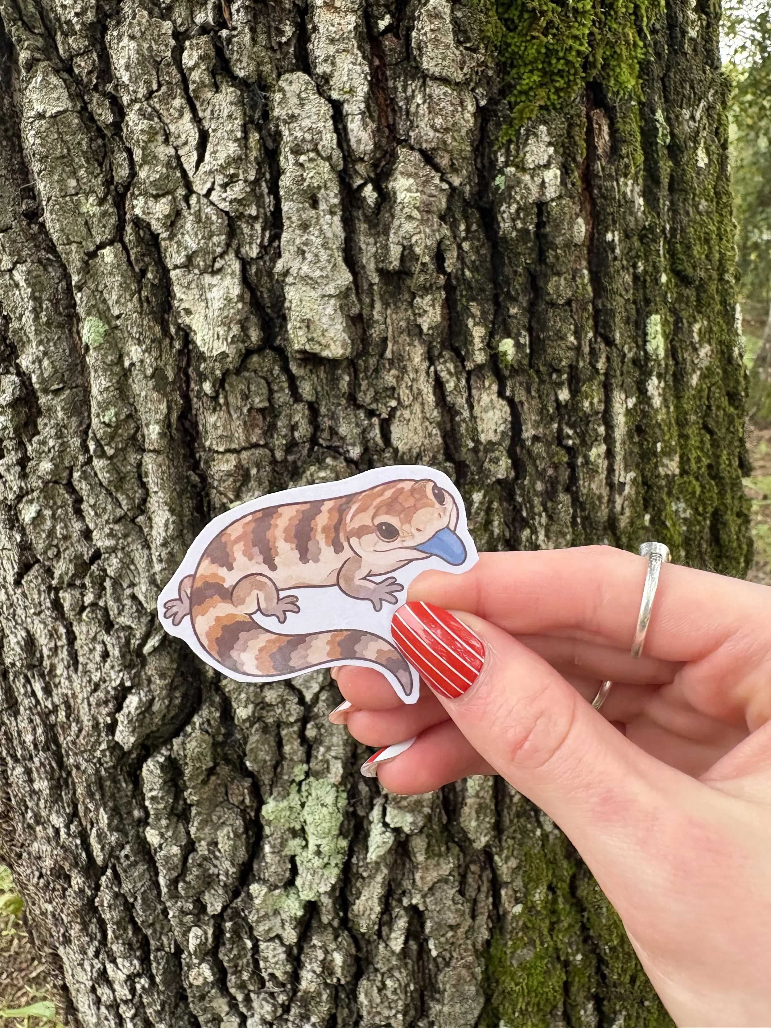 Blue Tongued Skink Sticker