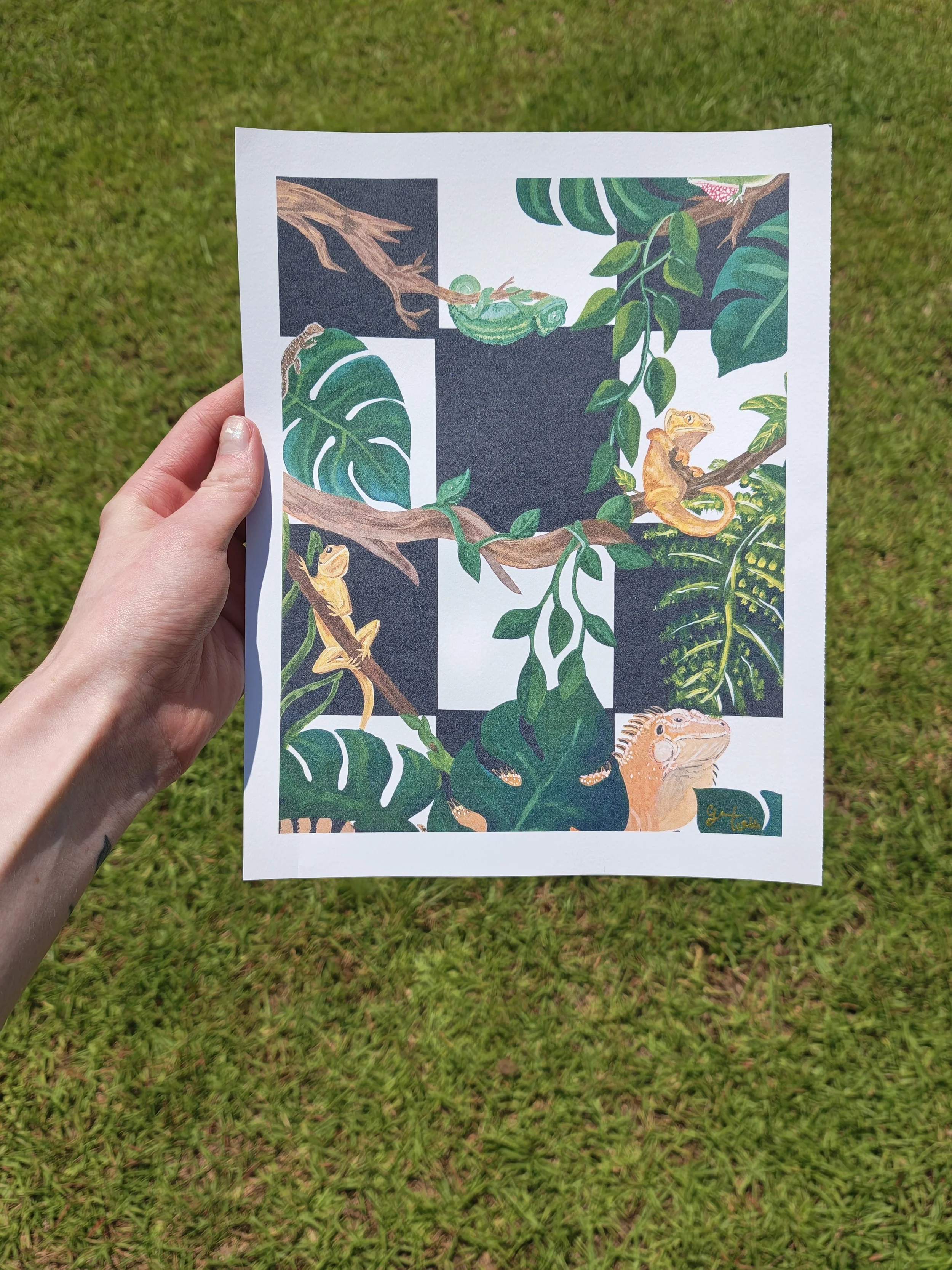 Lizard Mania 8x10 Print