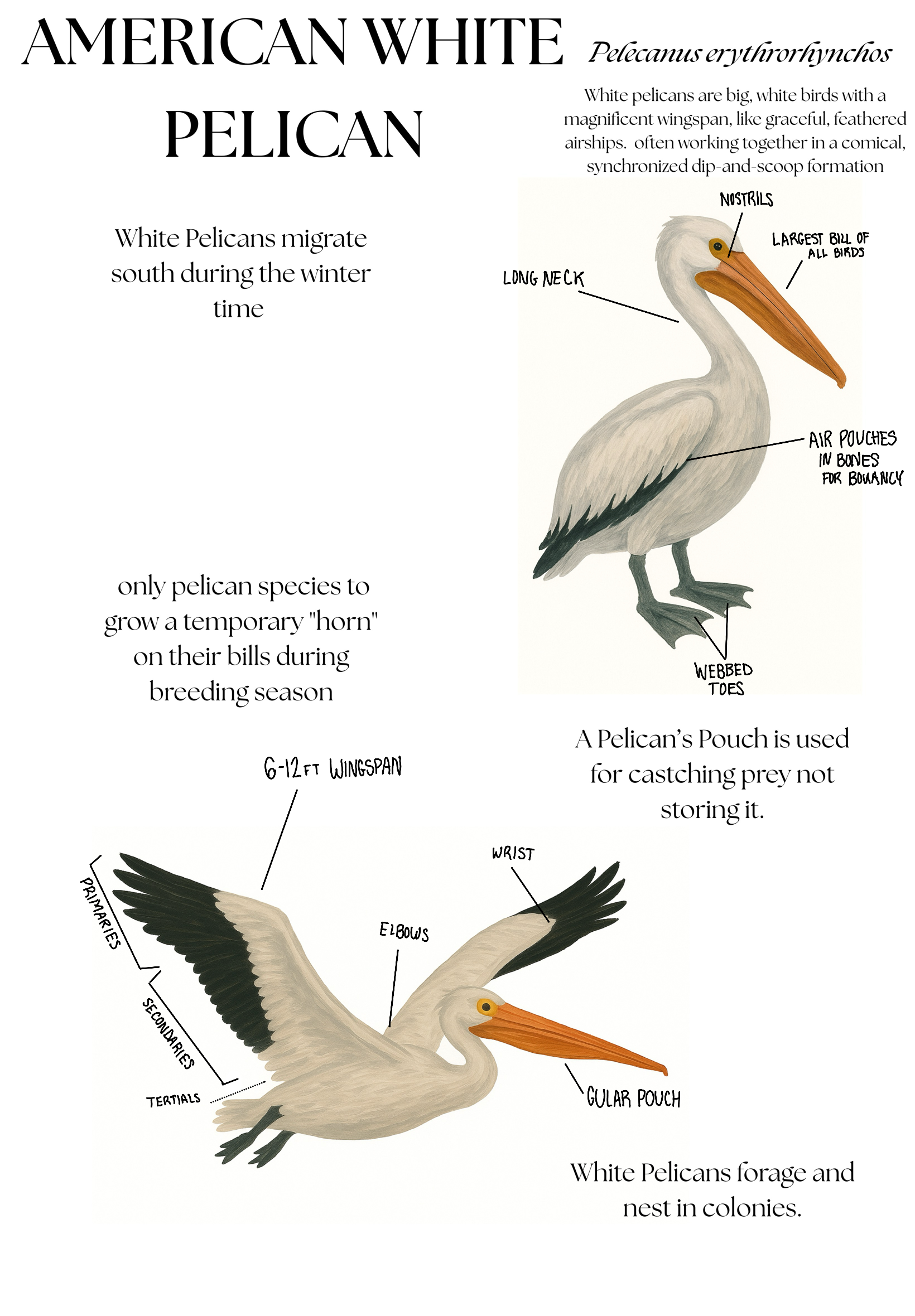 Untitled_Artwork (7).PNG