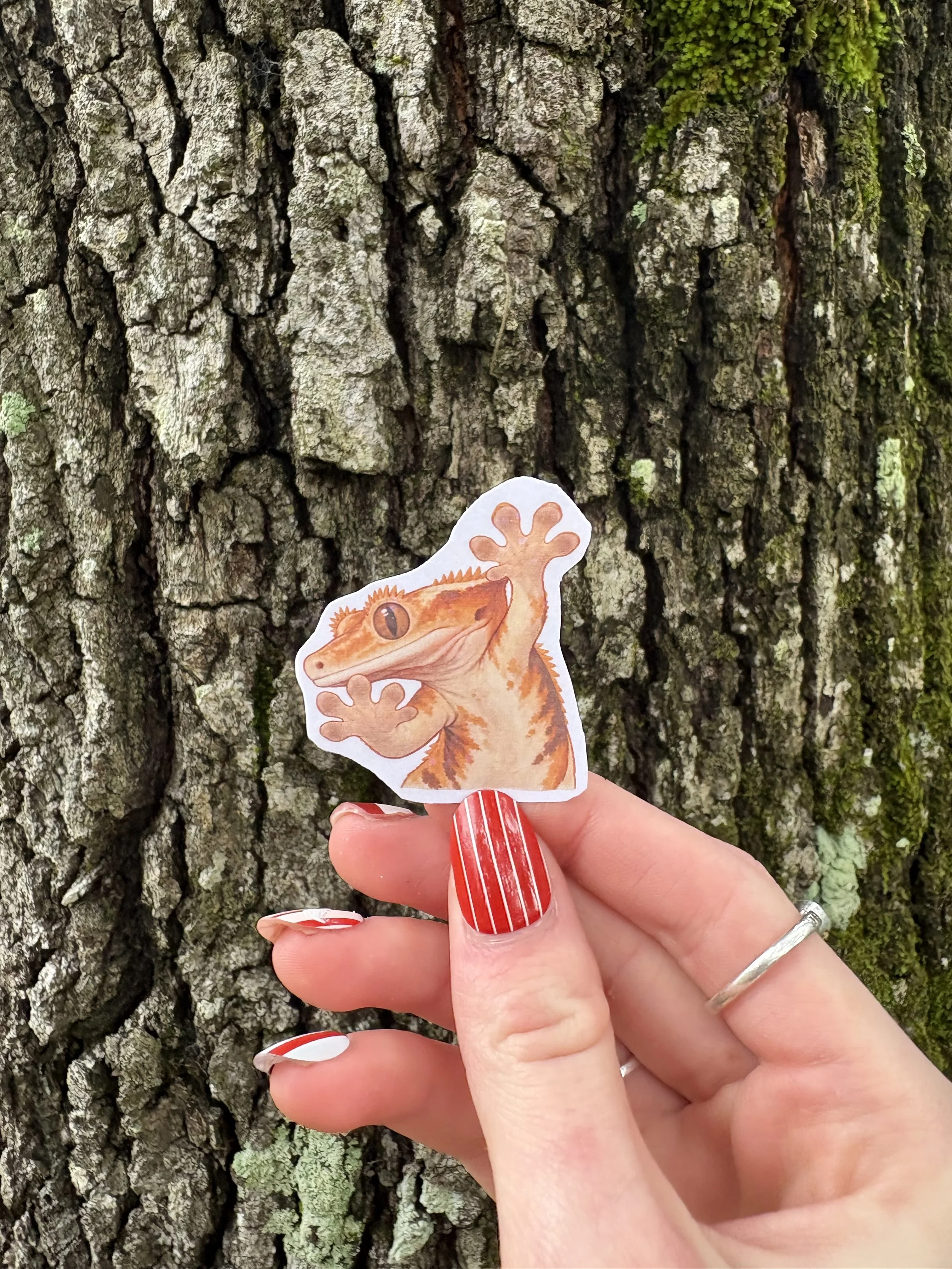 Crested Gecko Sticker