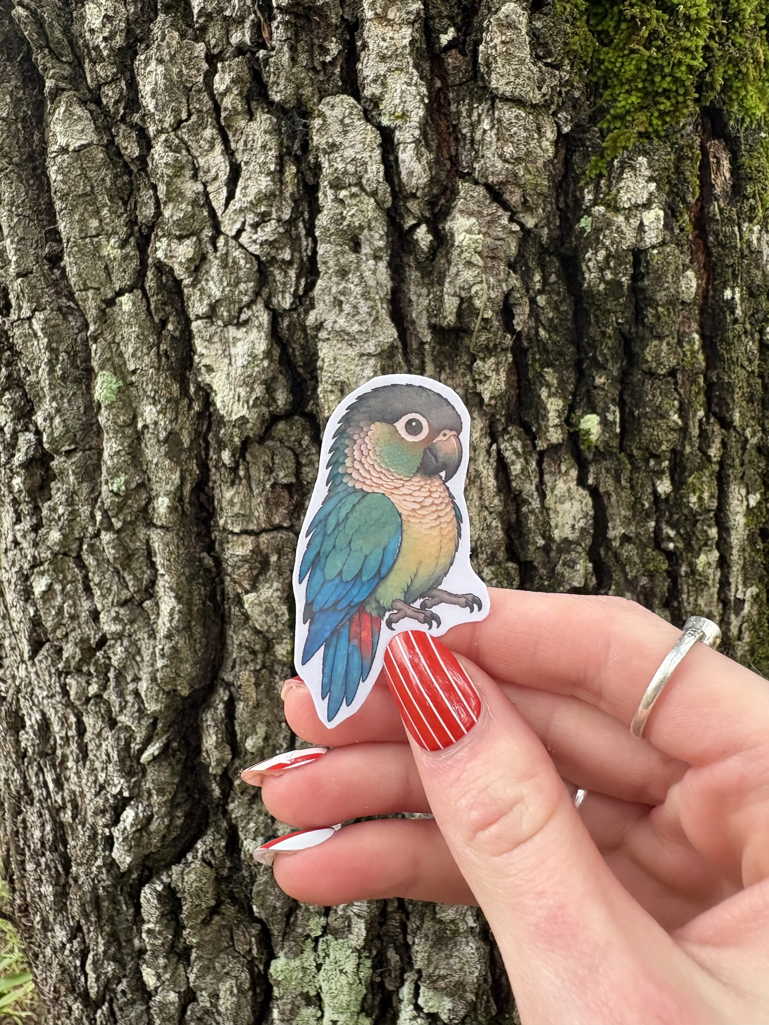 Turquoise Green Cheek Sticker