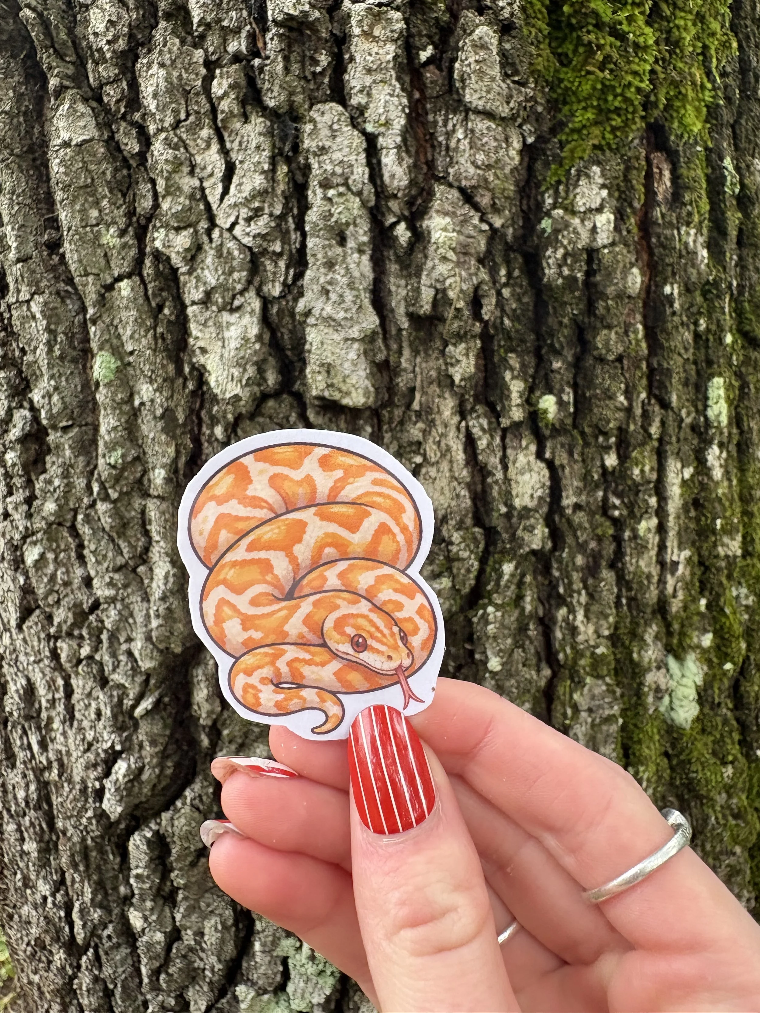 Albino Boa Sticker