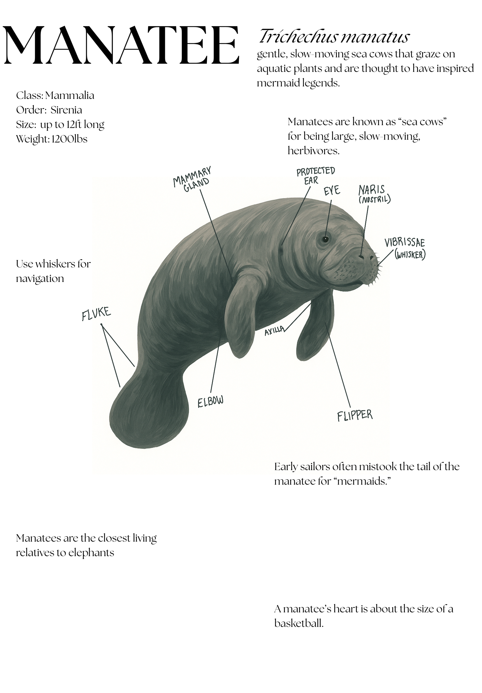 Untitled_Artwork (6).PNG