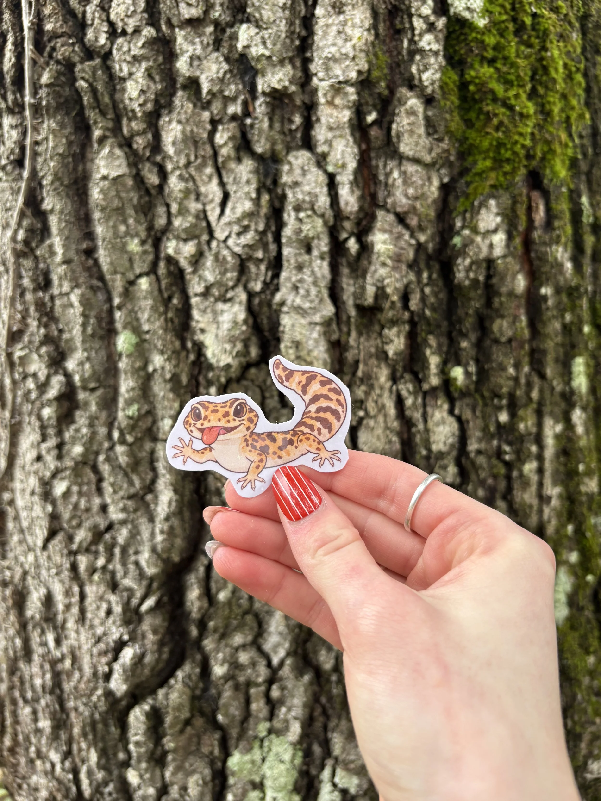 Leopard Gecko Sticker