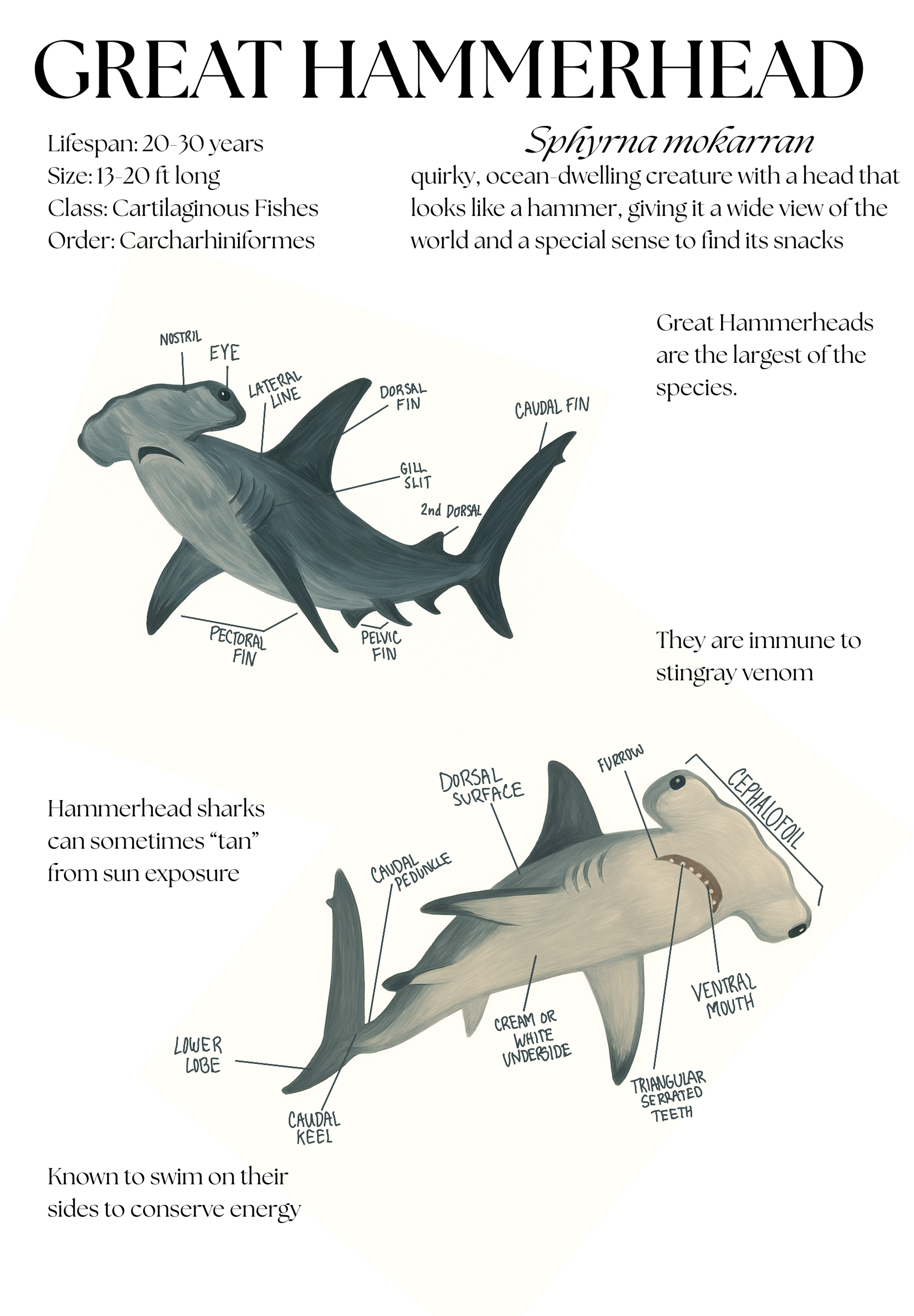 Untitled_Artwork (5).PNG