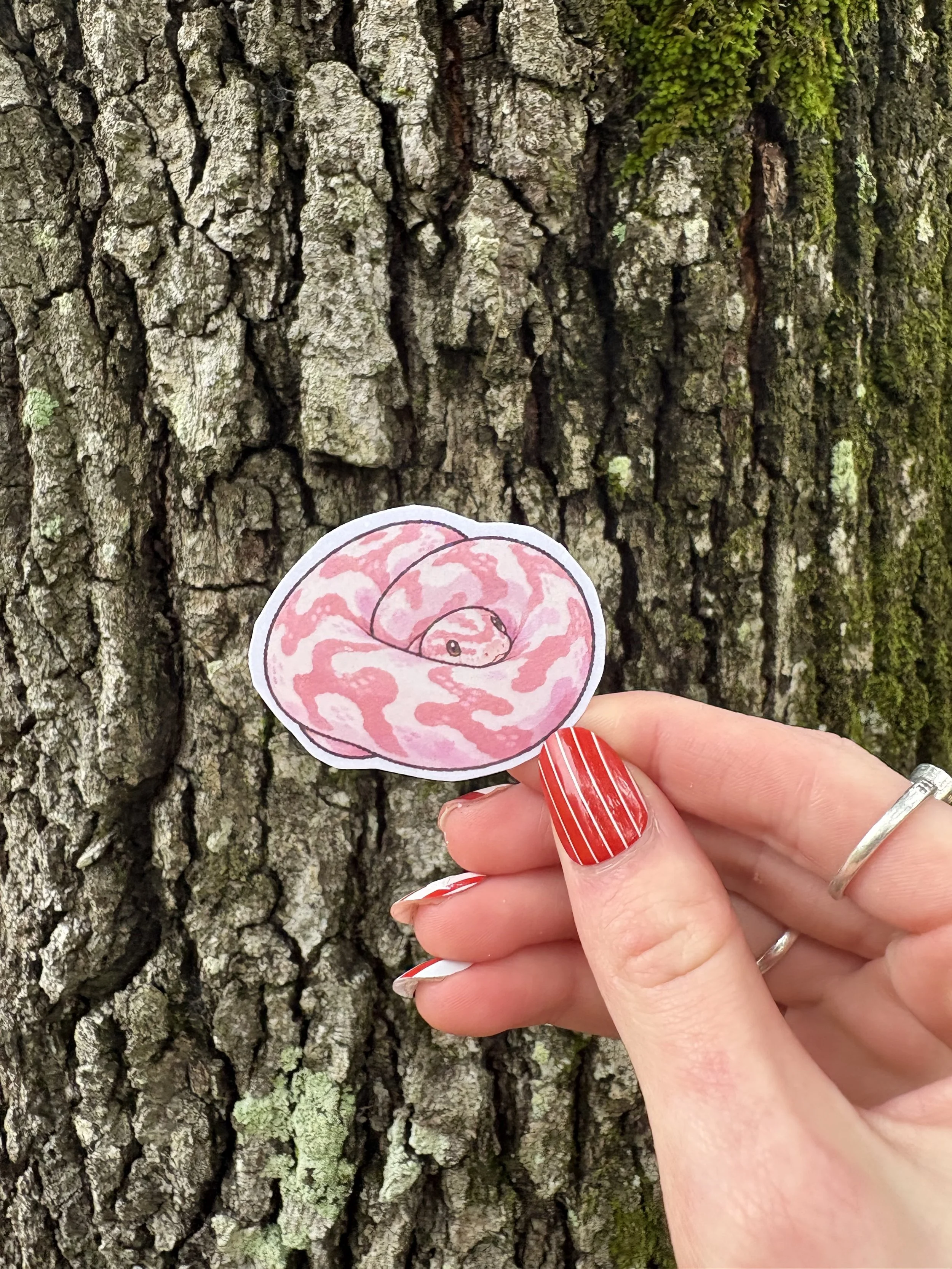 Pink Ball Python Sticker