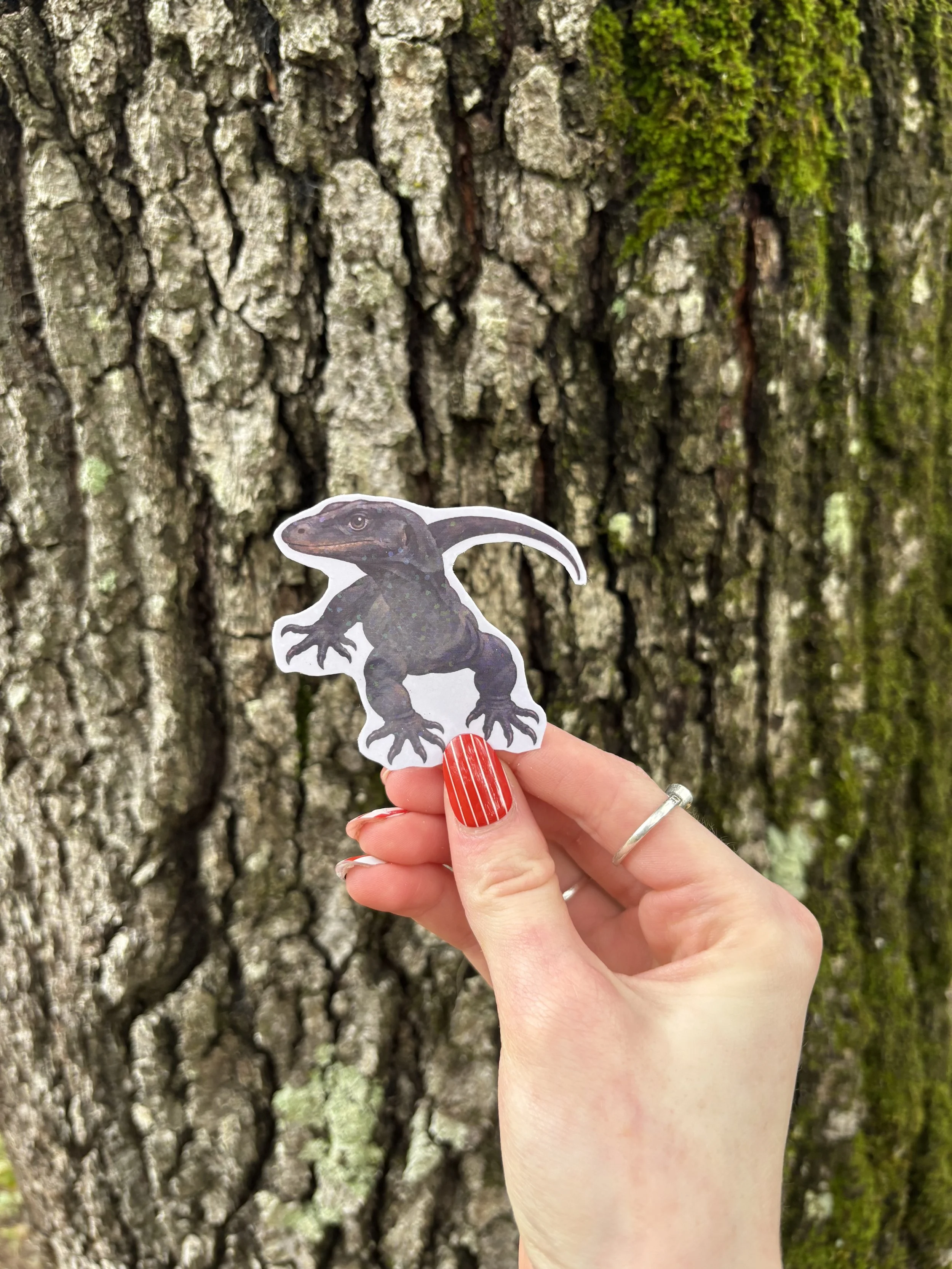 Asian Water Monitor Sticker
