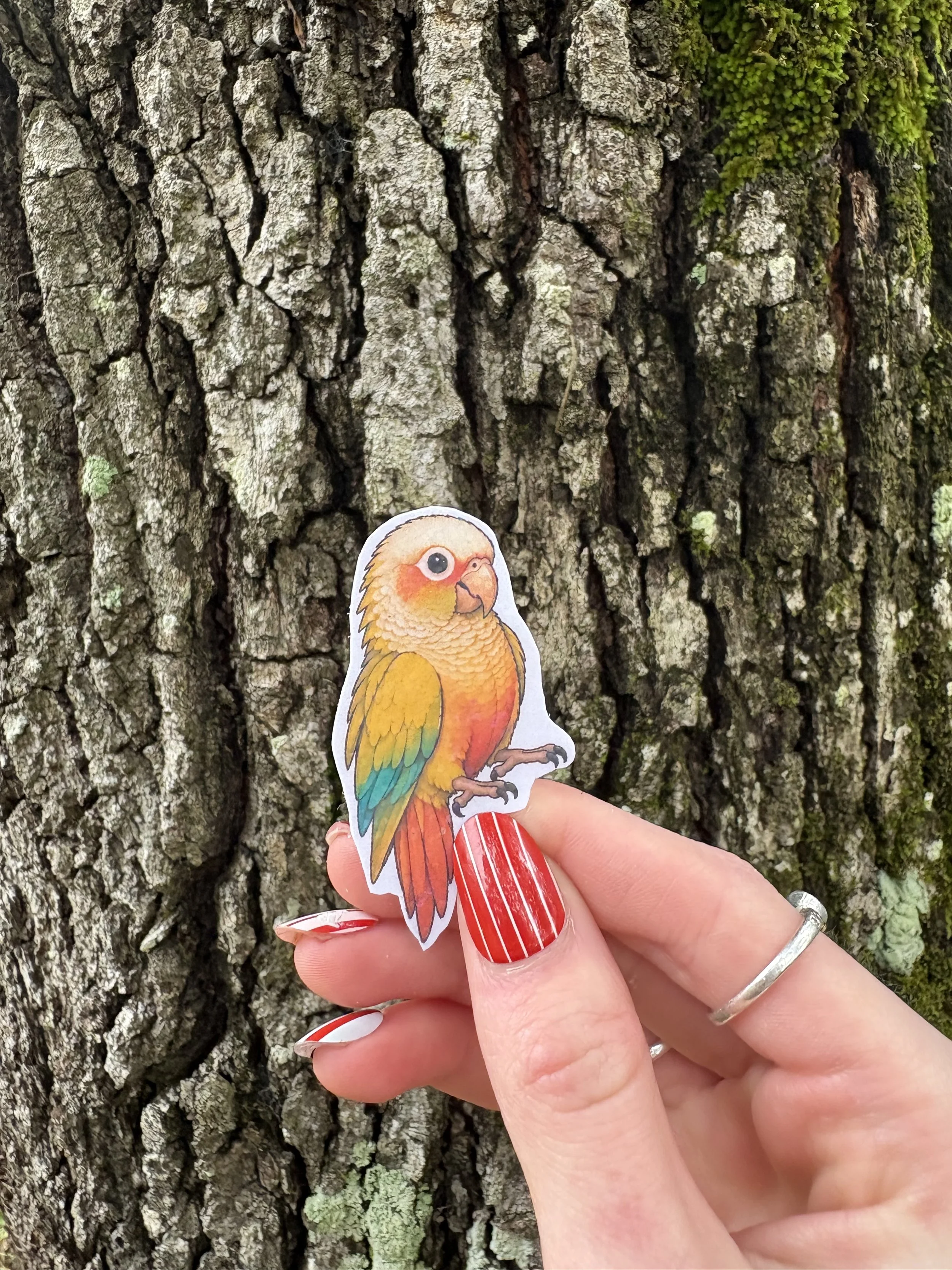 Cinnamon Green Cheek Sticker