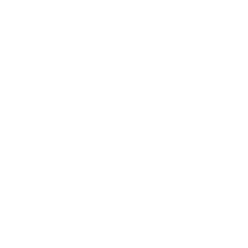 Kayak icon on white circle background