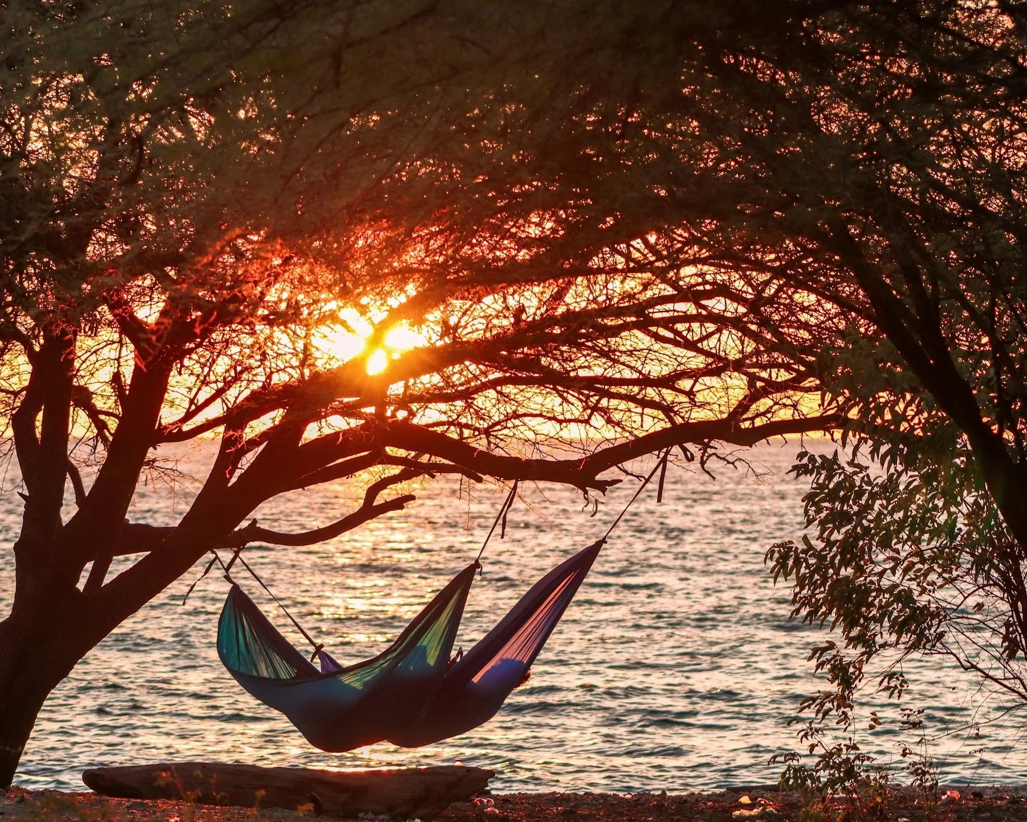 A hammock hanging between trees by a body of water at sunset, with the sun partially obscured by tree branches, creating a warm glow.
