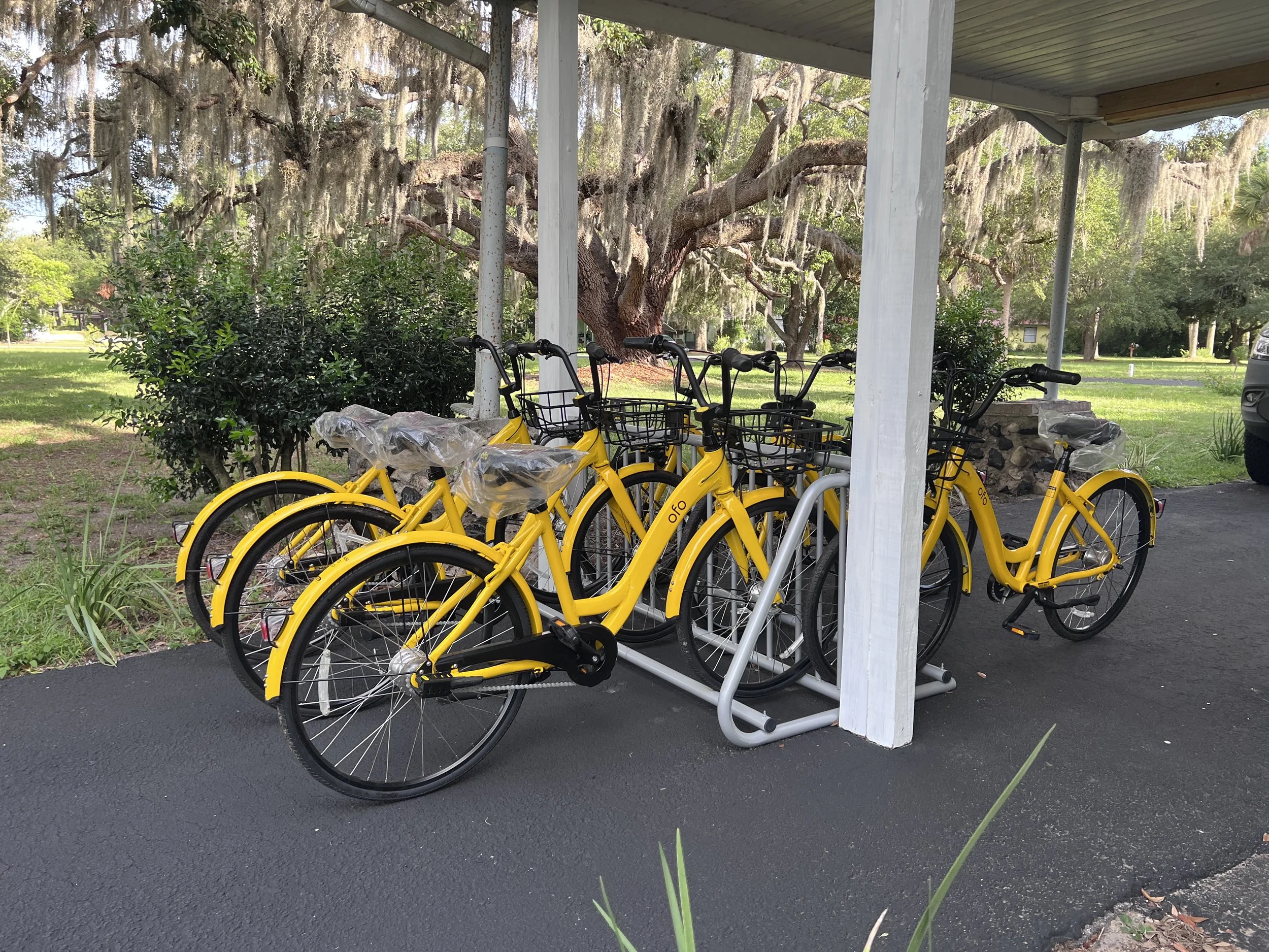 Six yellow bikes in a bike rack with trees and plants in the background
