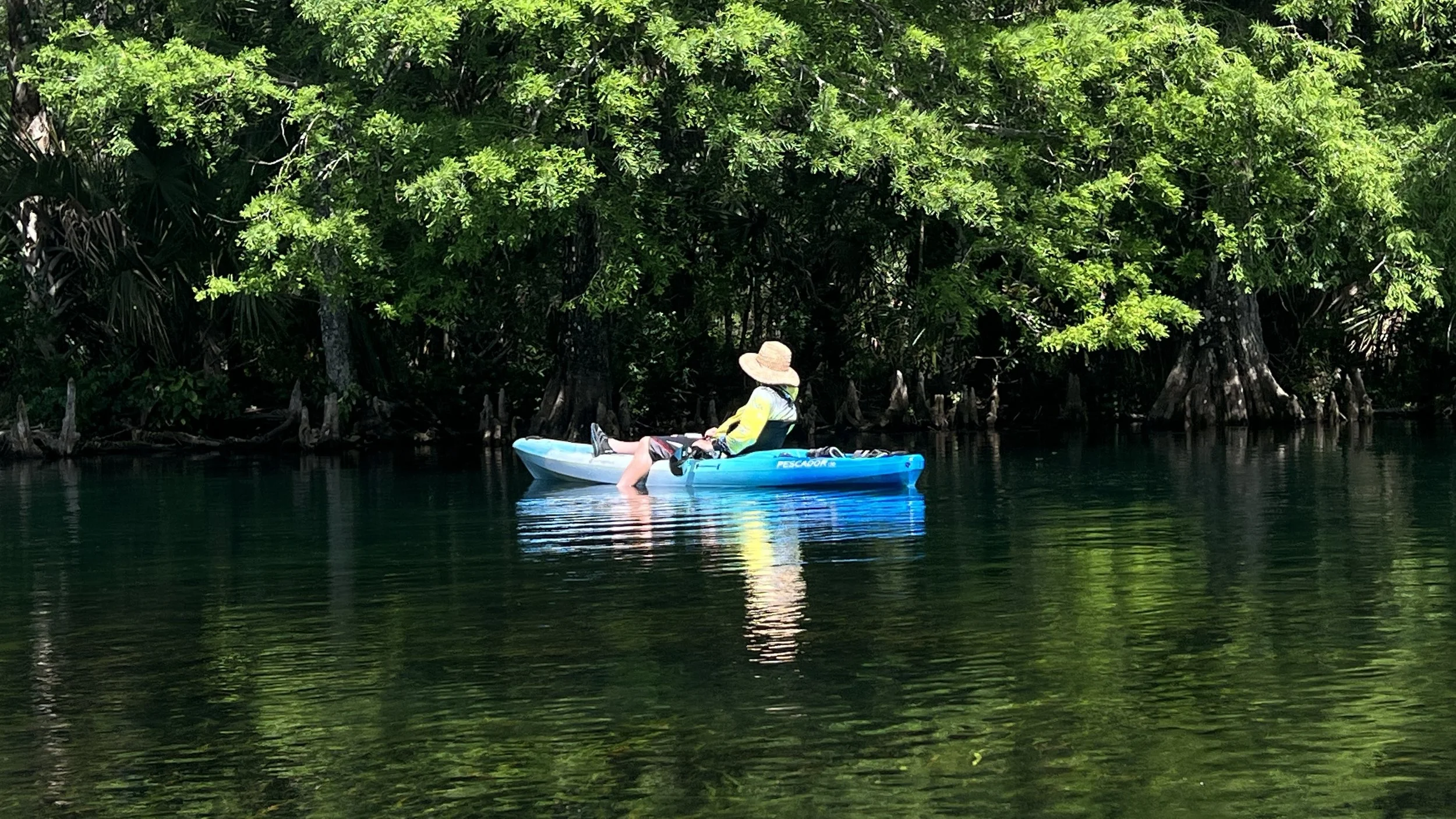 Person kayaking on river near trees